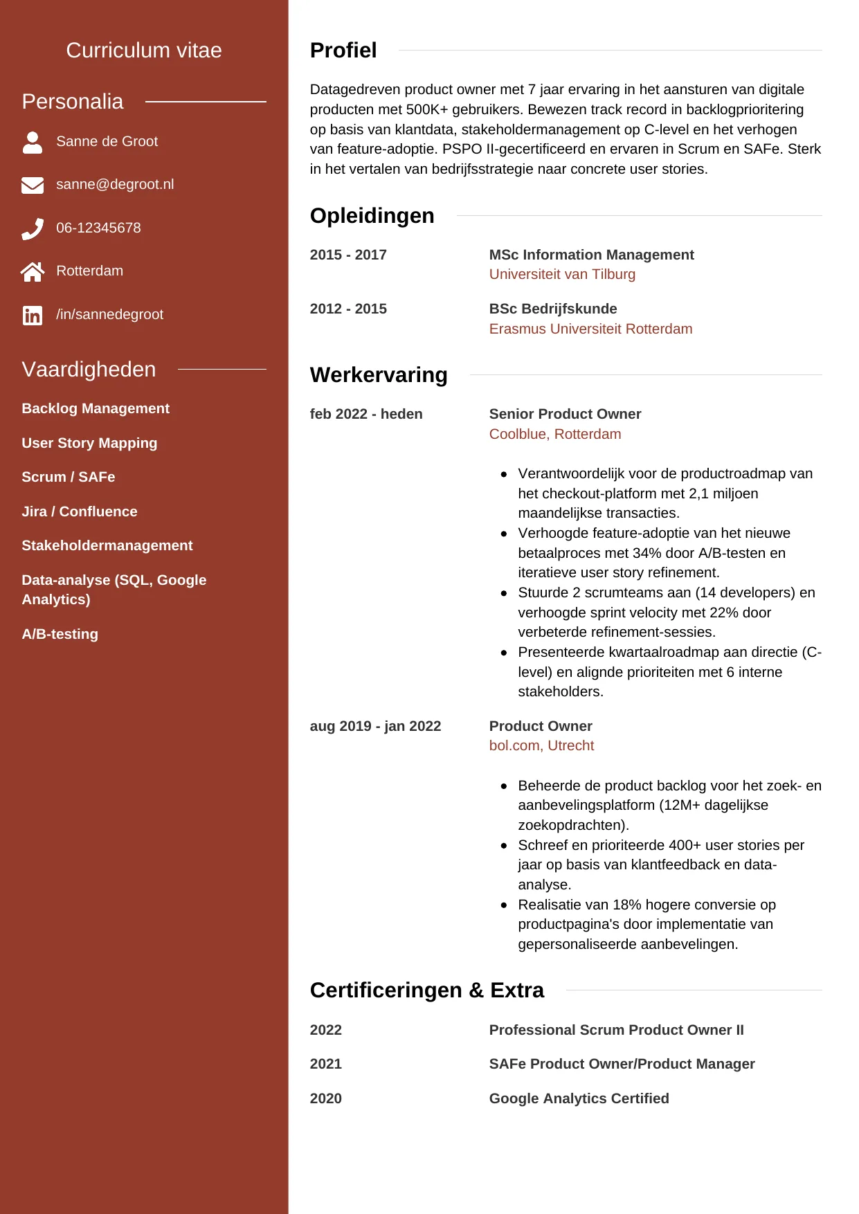 CV Modern voor product owner