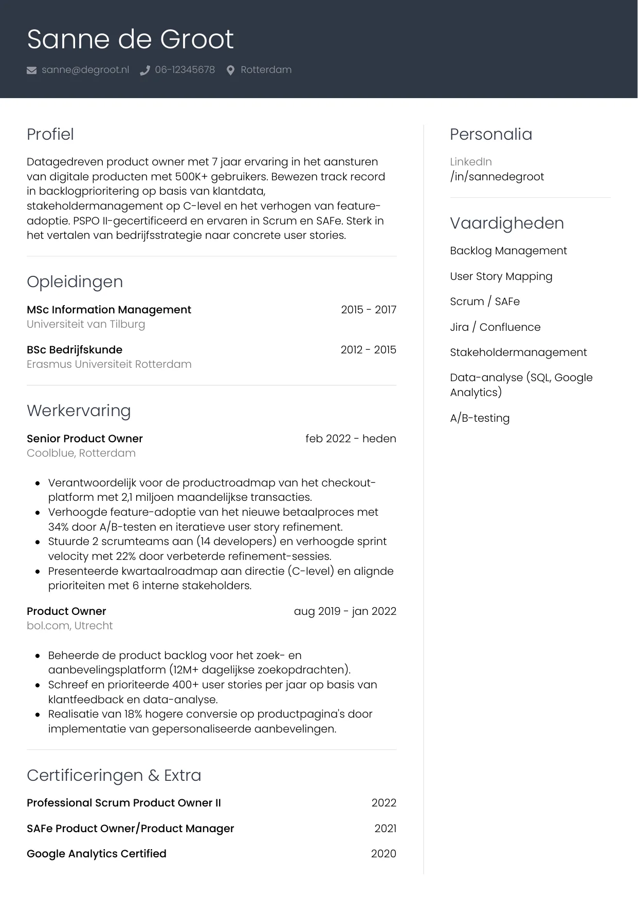CV Professioneel voor product owner
