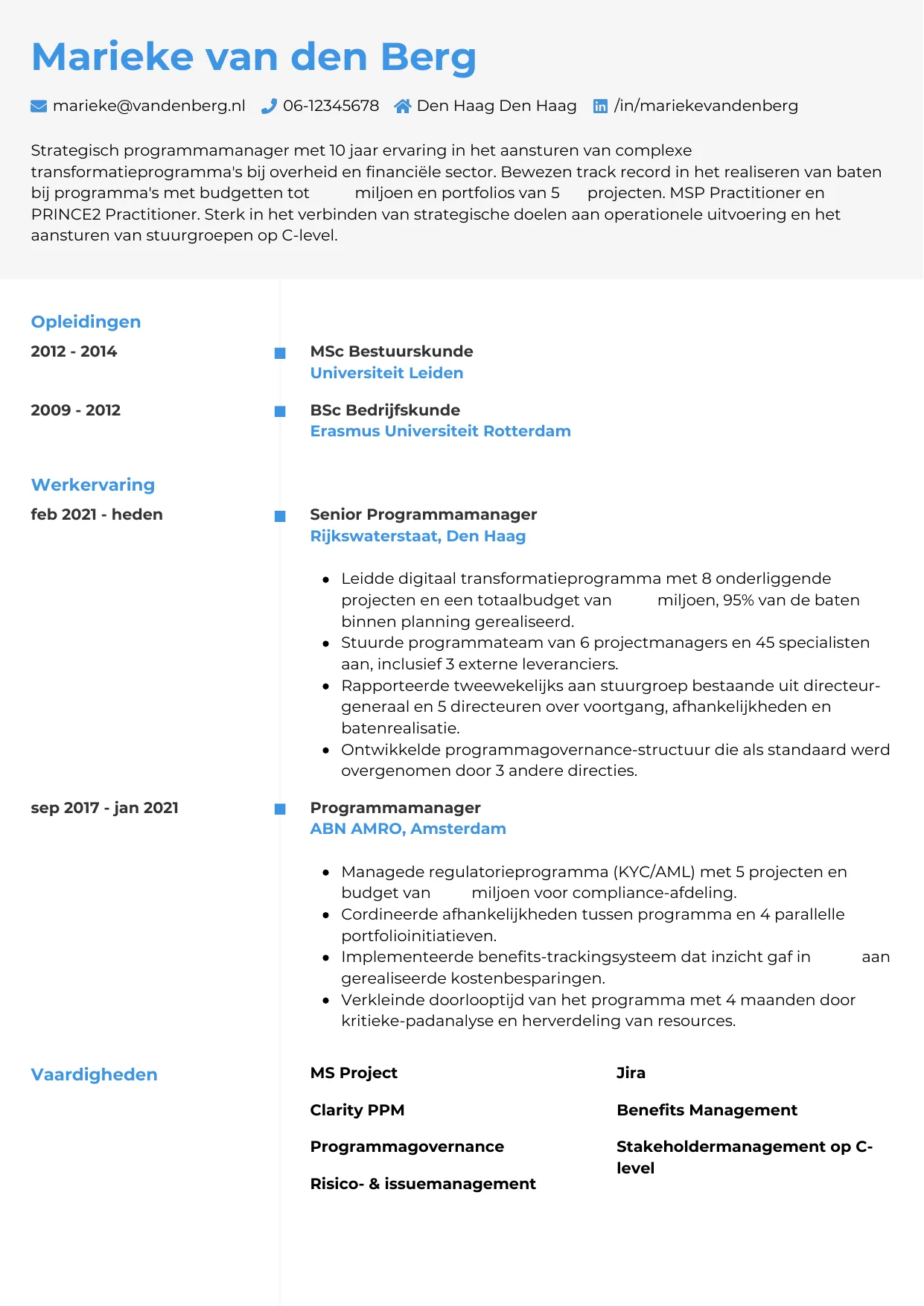 Voorbeeld CV voor programmamanager in template Chrono. CV Chrono voor programmamanager