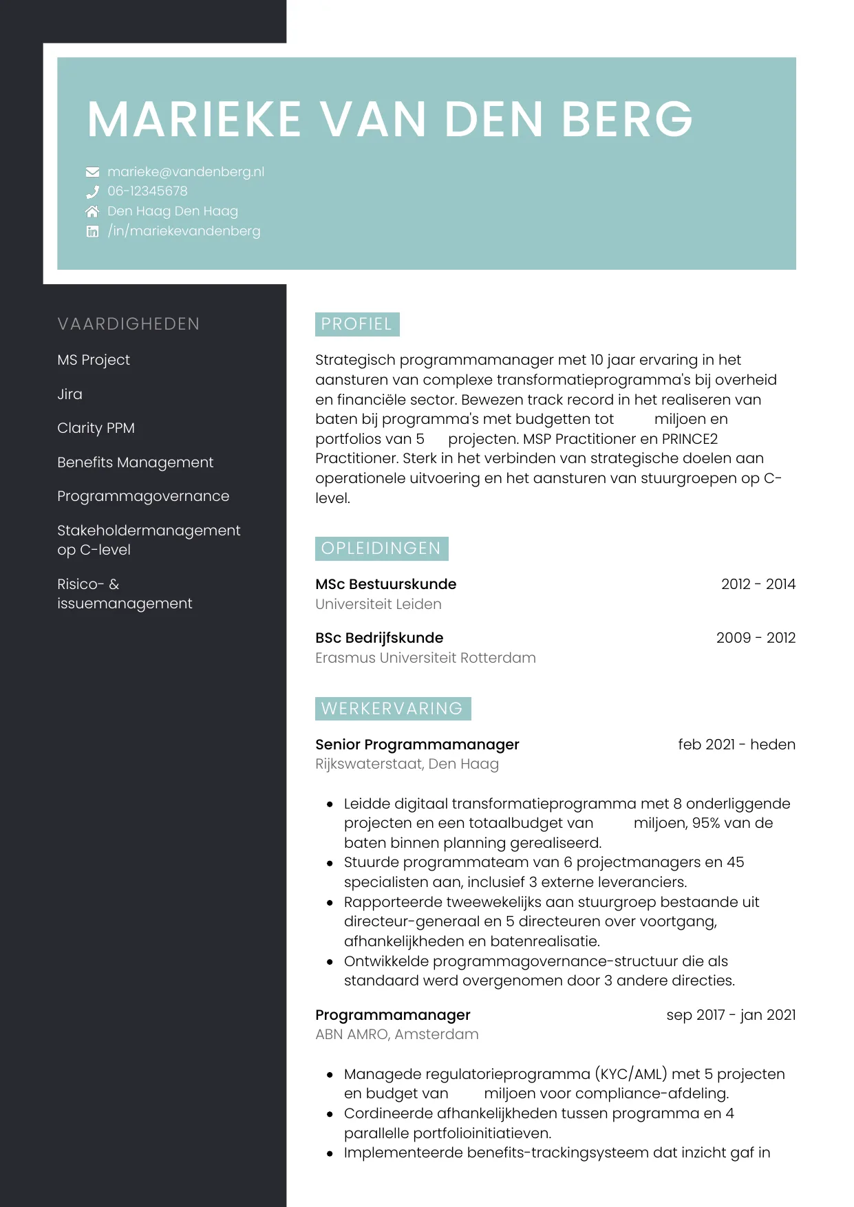 Voorbeeld CV voor programmamanager in template Elegant. CV Elegant voor programmamanager