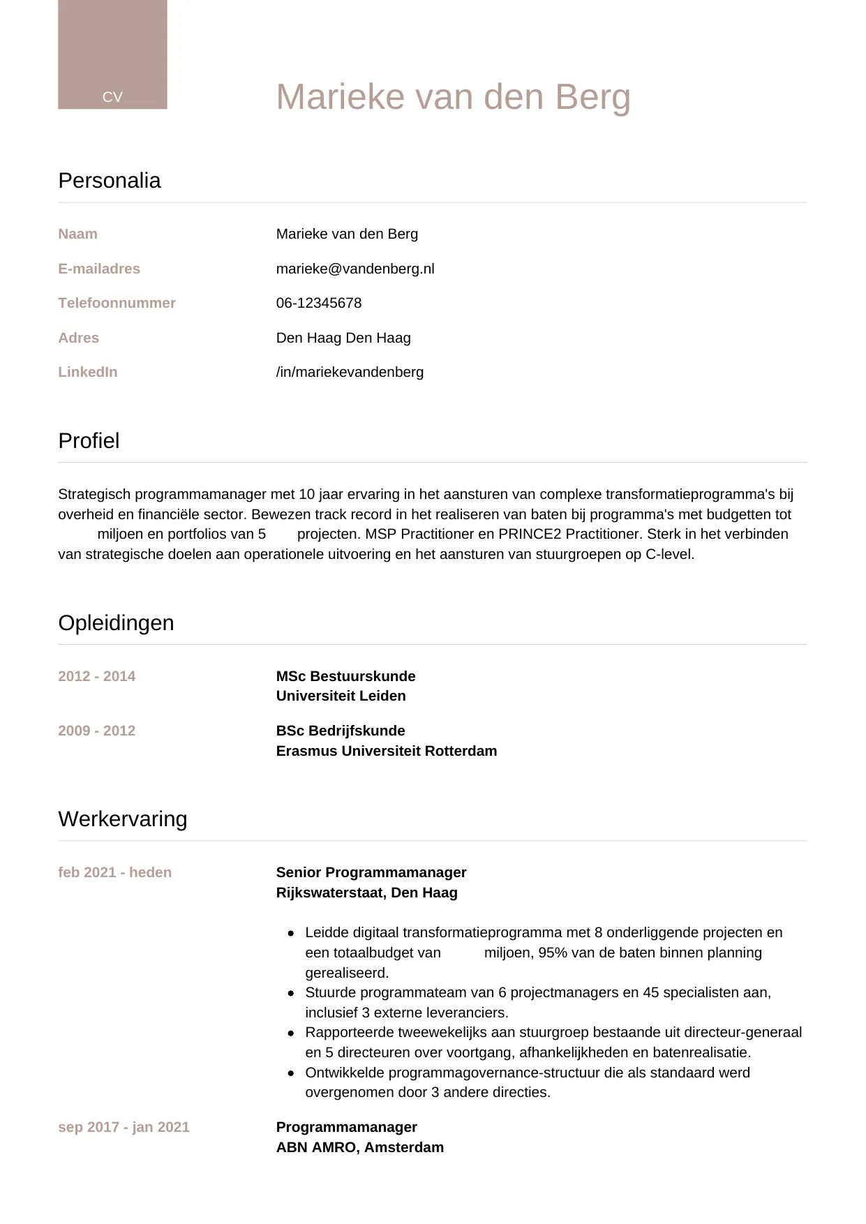 Voorbeeld CV voor programmamanager in template Luxe. CV Luxe voor programmamanager