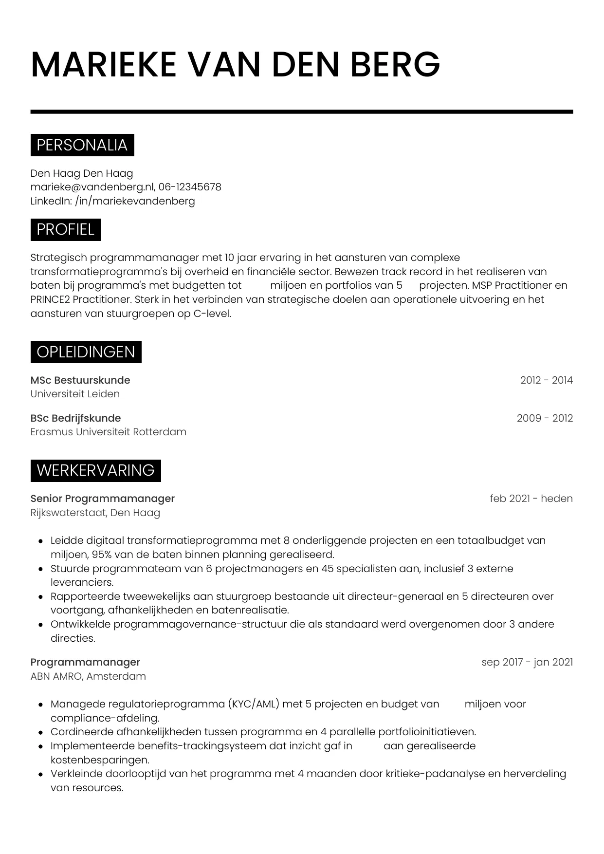 Voorbeeld CV voor programmamanager in template Metro. CV Metro voor programmamanager