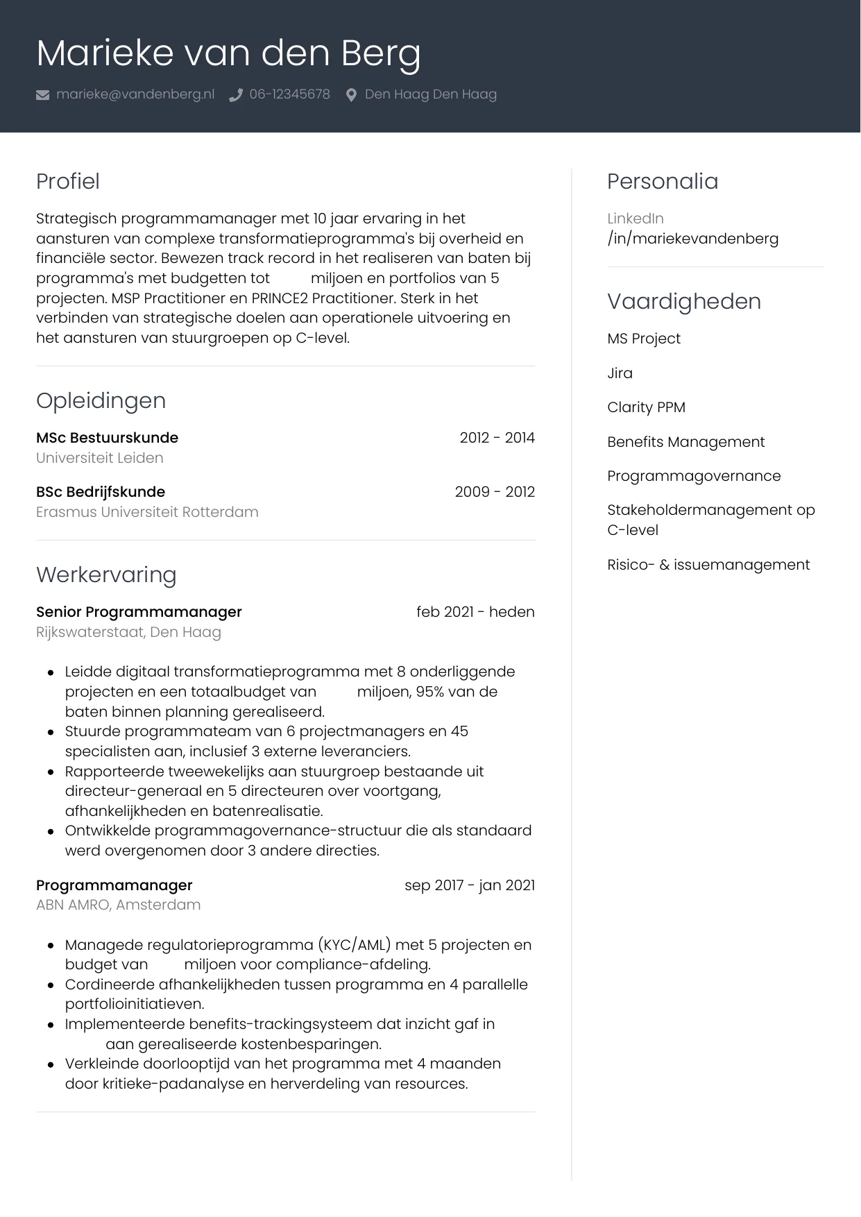 Voorbeeld CV voor programmamanager in template Professioneel. CV Professioneel voor programmamanager