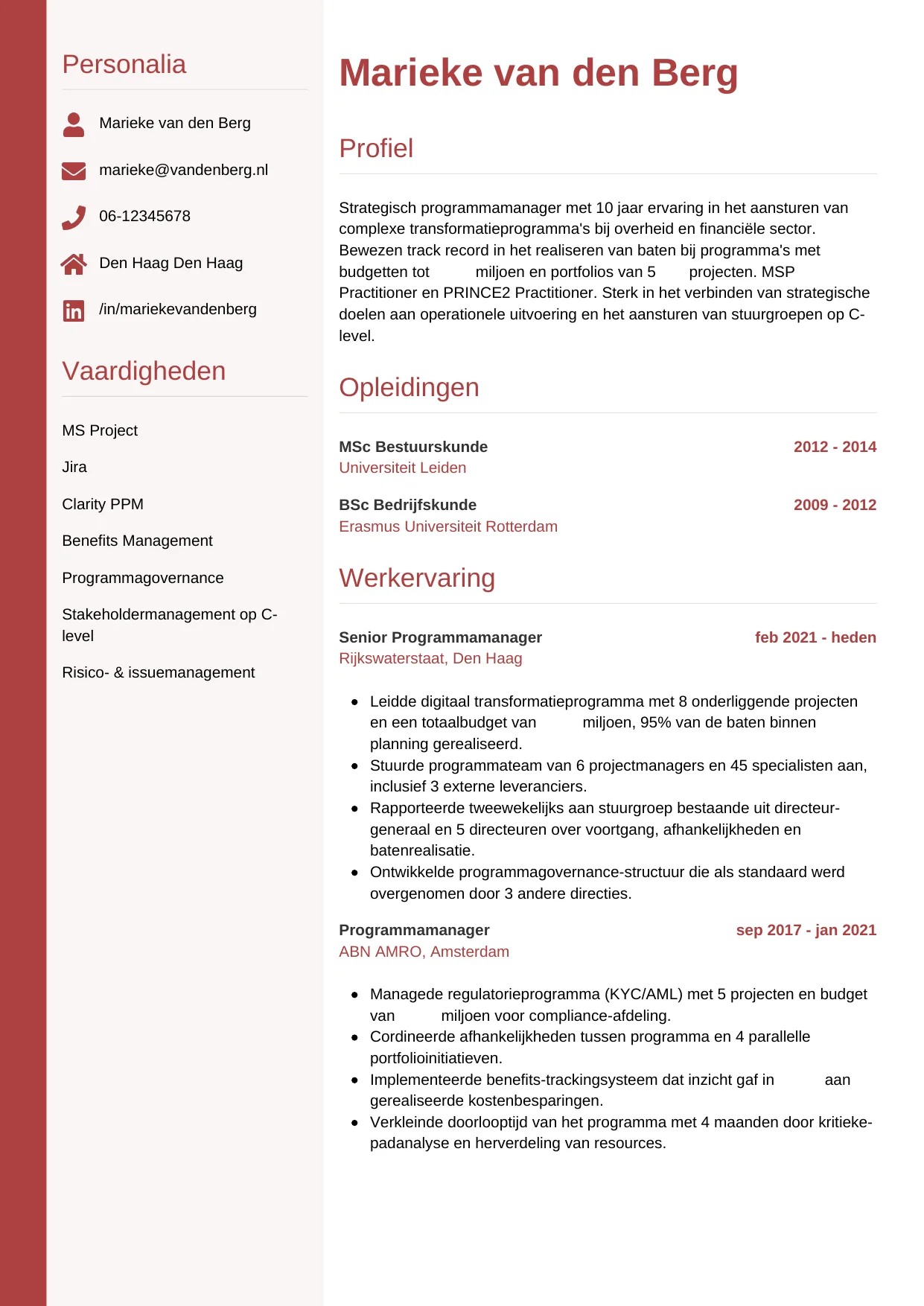 Voorbeeld CV voor programmamanager in template Verticaal. CV Verticaal voor programmamanager