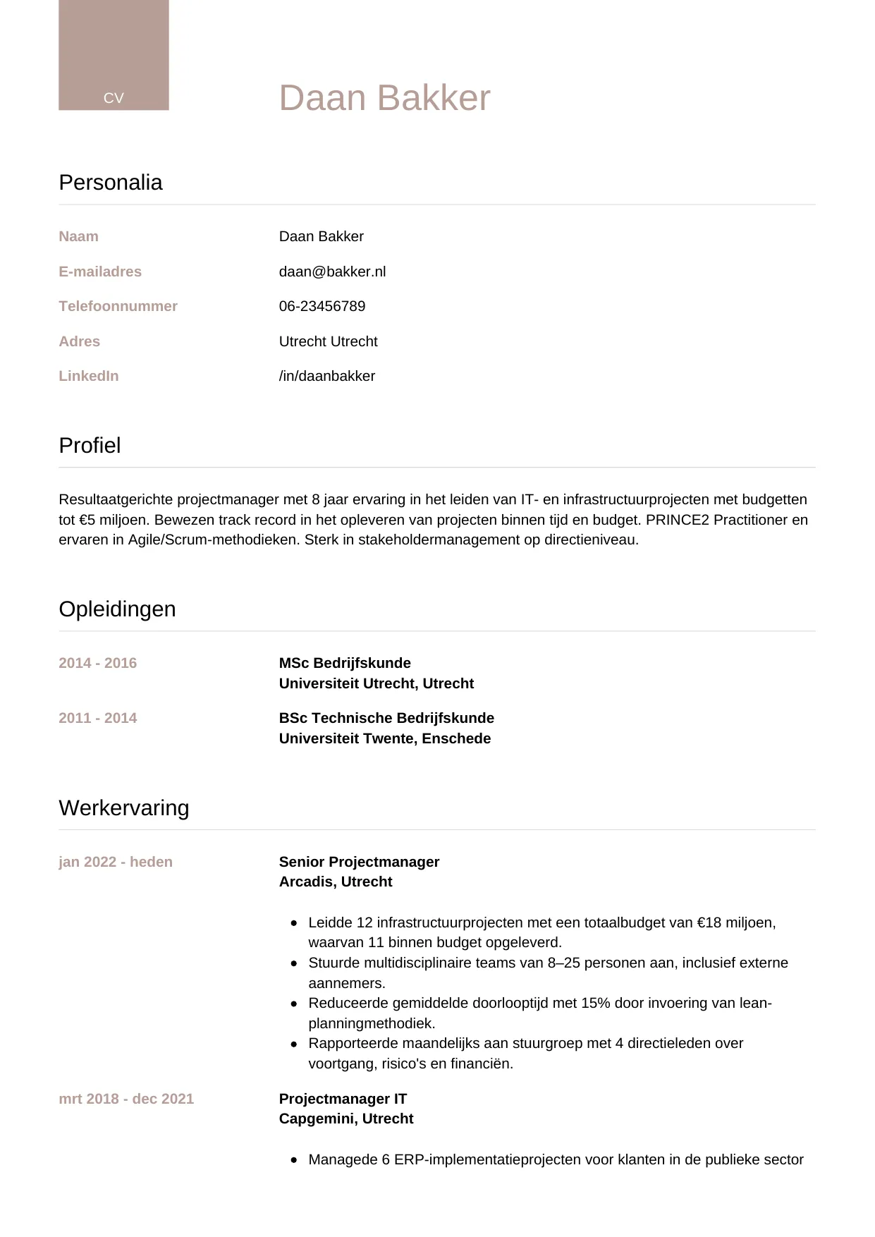 CV Luxe voor projectmanager