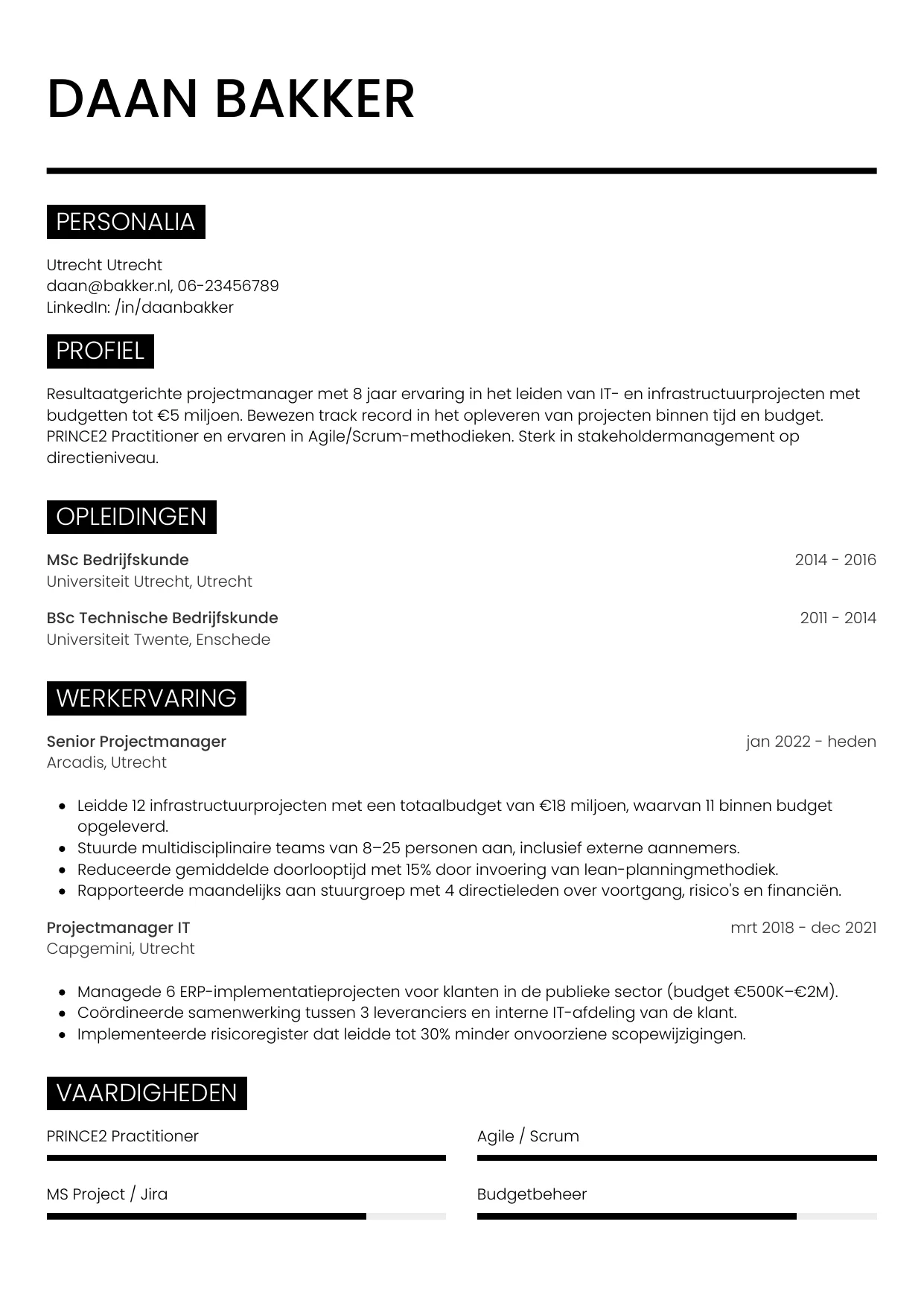 CV Metro voor projectmanager