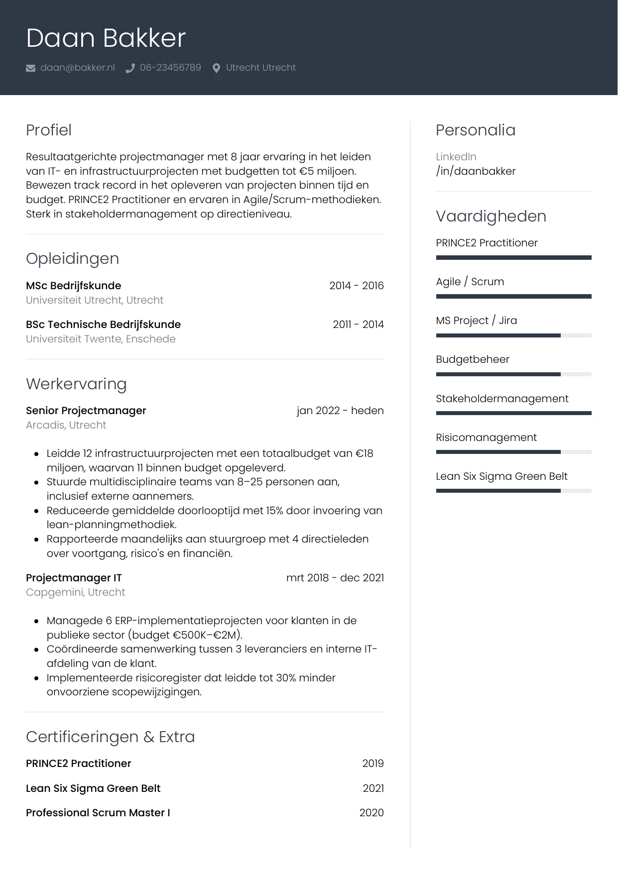 CV Professioneel voor projectmanager