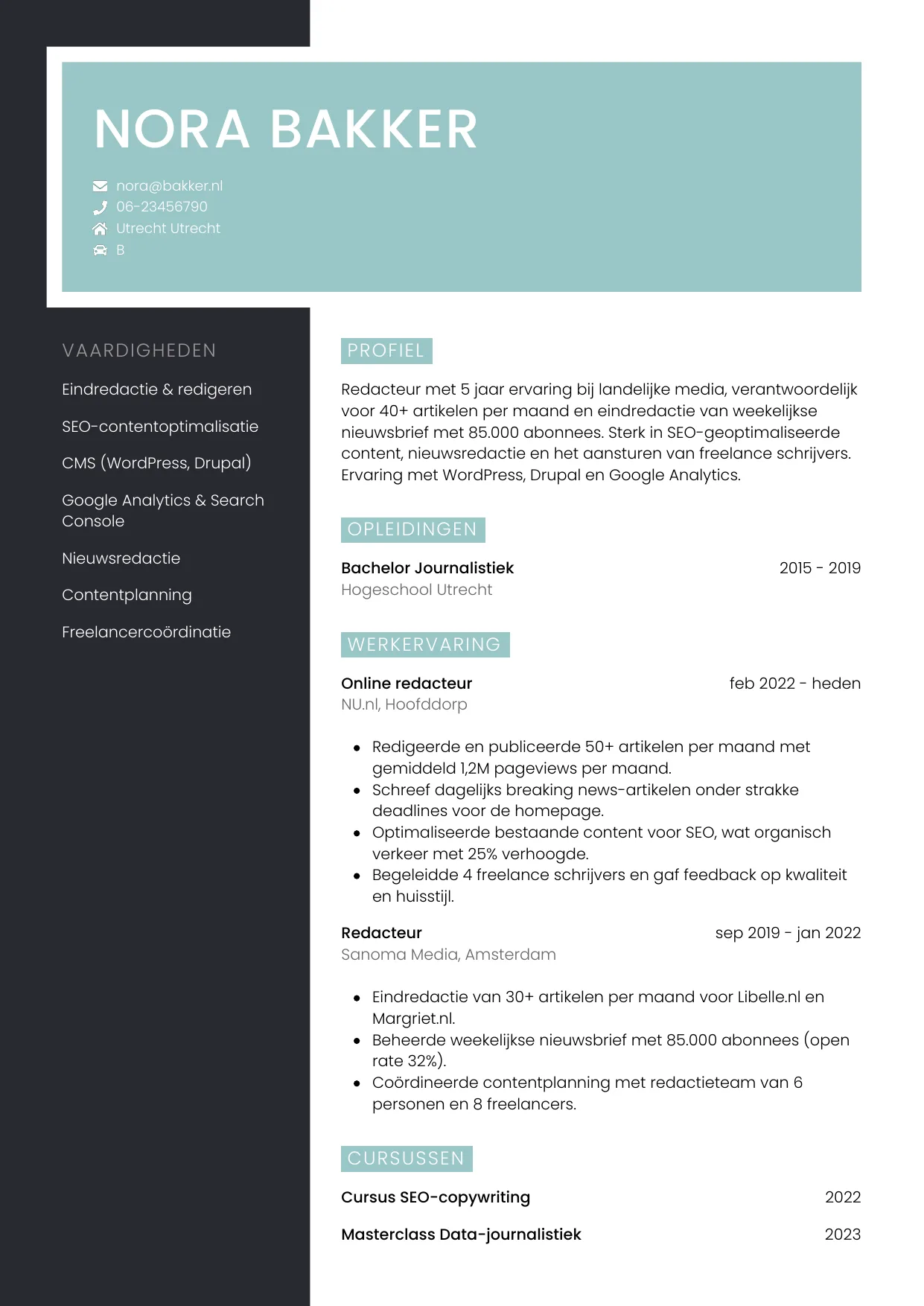 Voorbeeld CV voor redacteur in template Elegant. CV Elegant voor redacteur