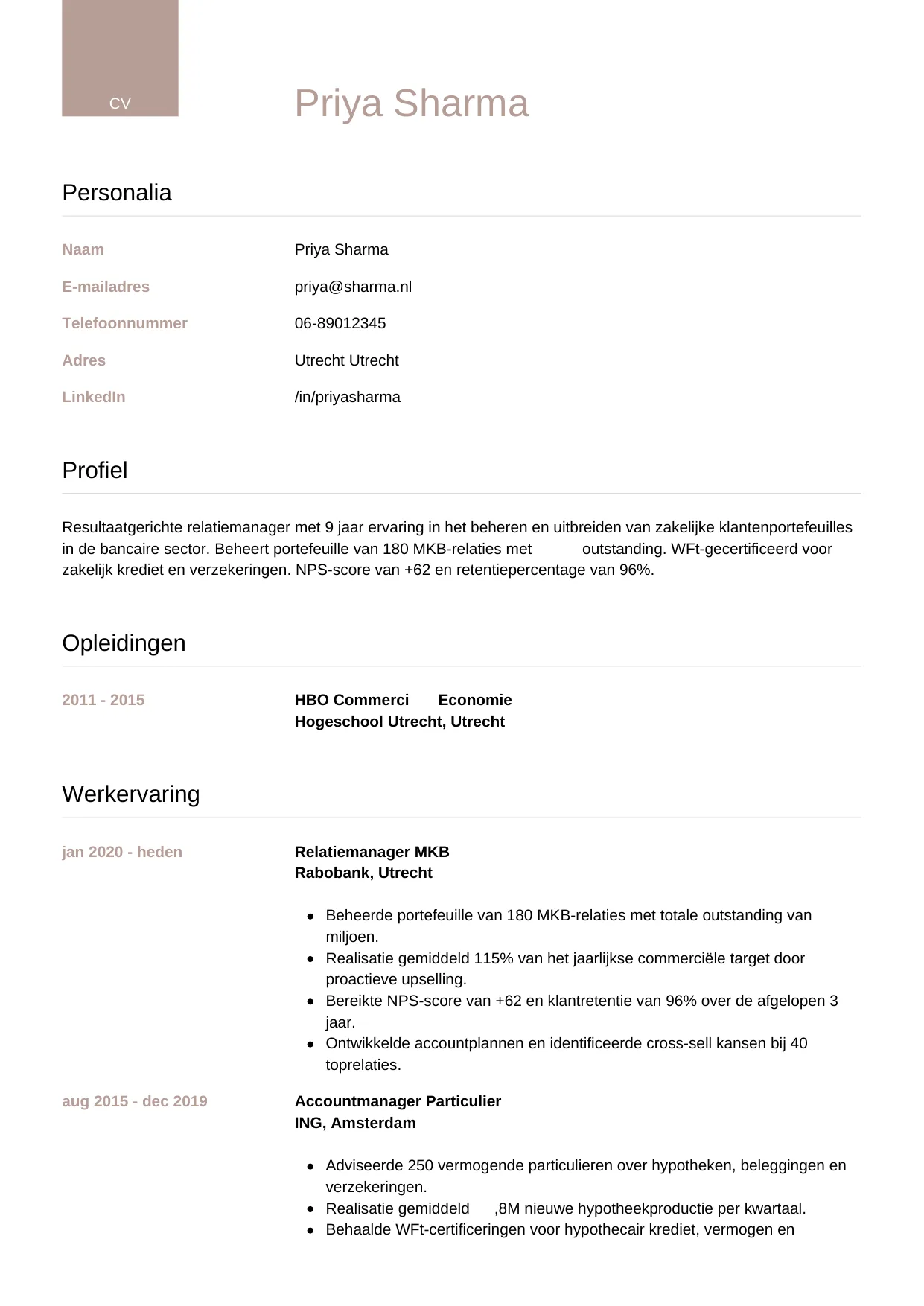 CV Luxe voor relatiemanager