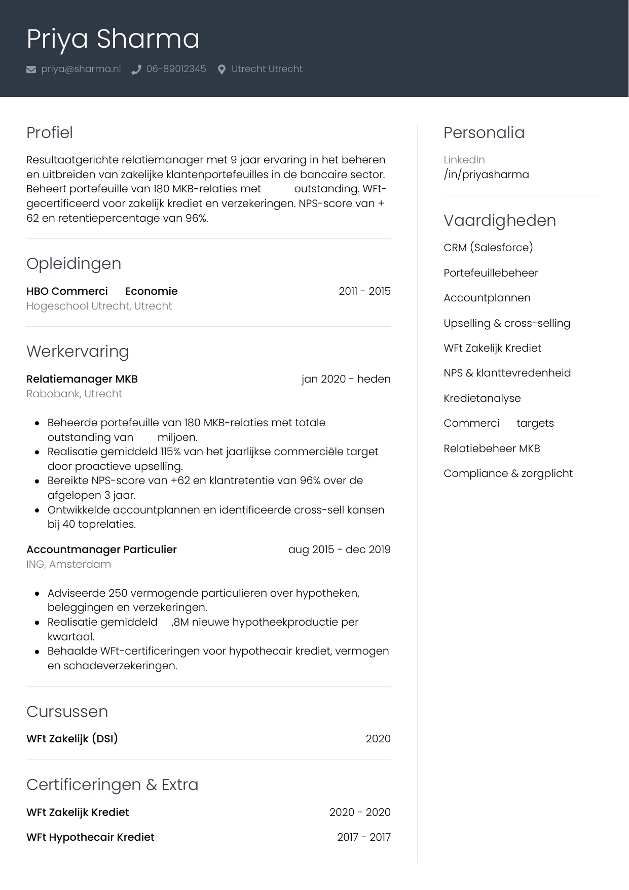 CV Professioneel voor relatiemanager