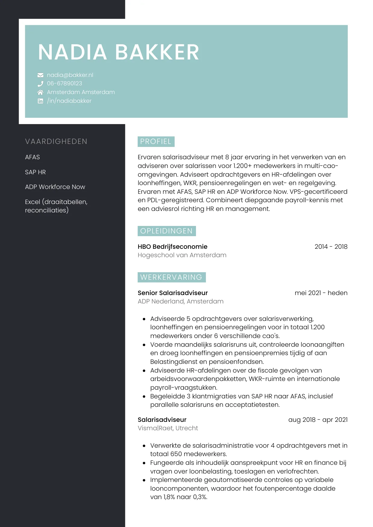 Voorbeeld CV voor salarisadviseur in template Elegant. CV Elegant voor salarisadviseur