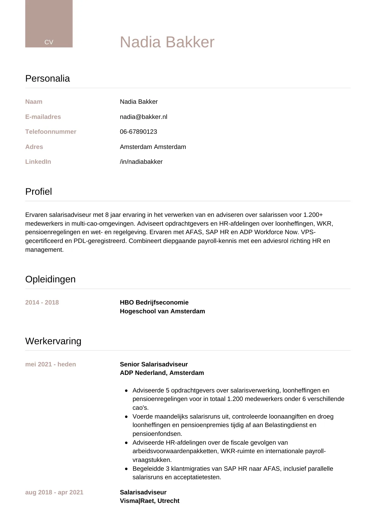 Voorbeeld CV voor salarisadviseur in template Luxe. CV Luxe voor salarisadviseur