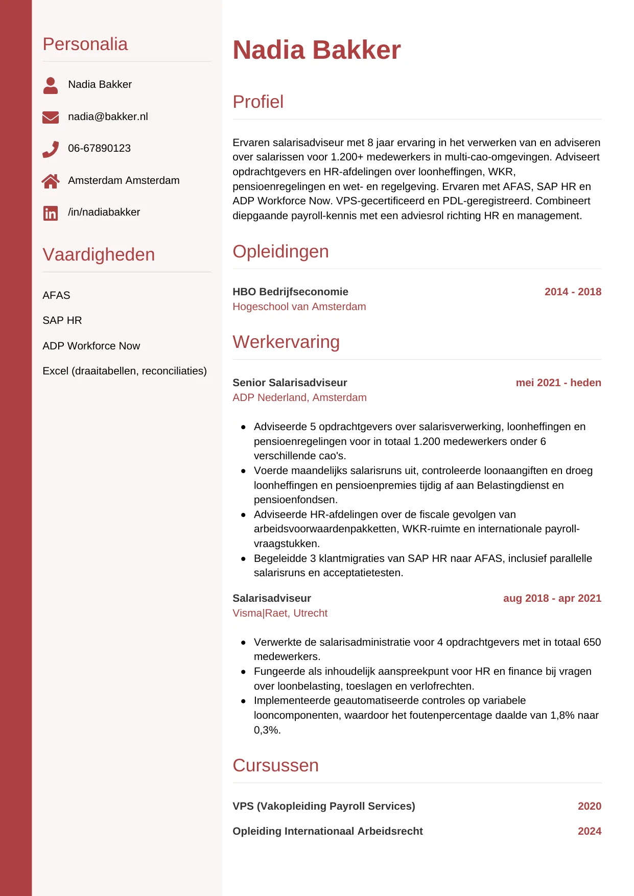 Voorbeeld CV voor salarisadviseur in template Verticaal. CV Verticaal voor salarisadviseur