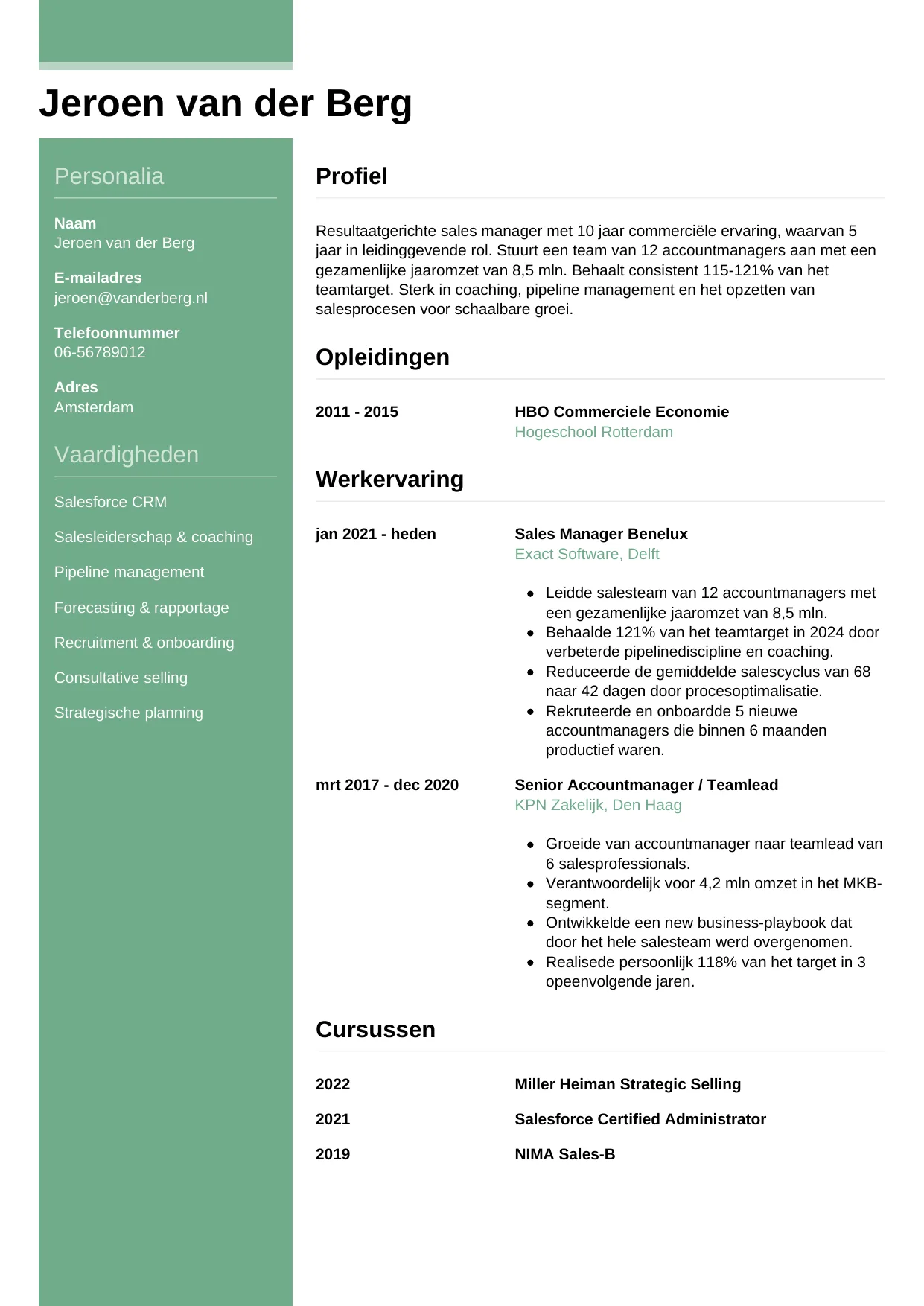 CV Casual voor sales manager