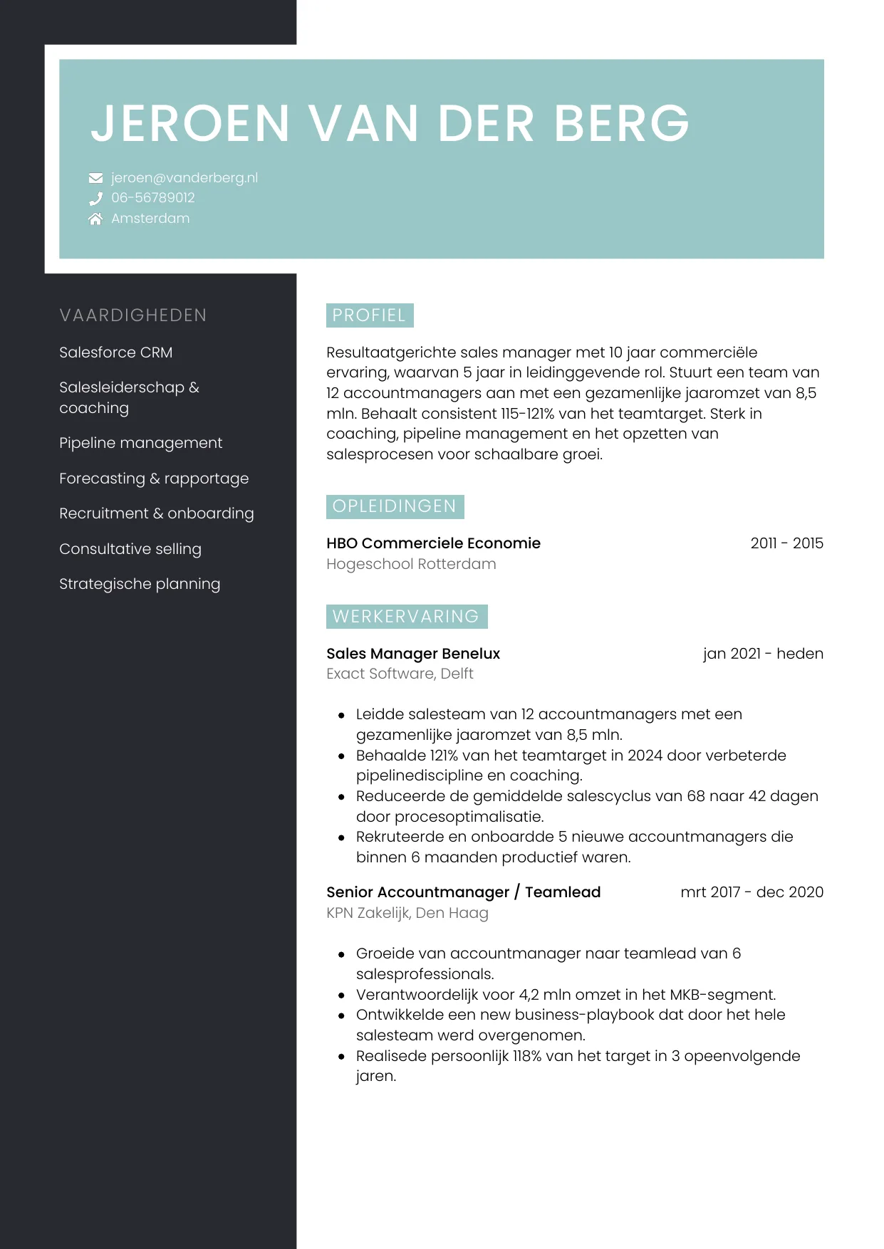 CV Elegant voor sales manager