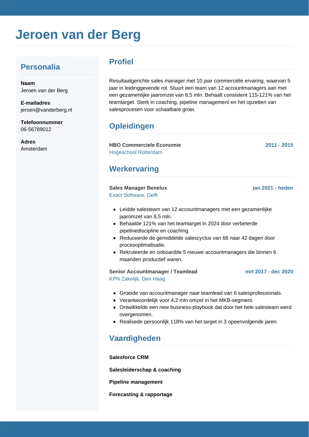 CV Horizontaal voor sales manager