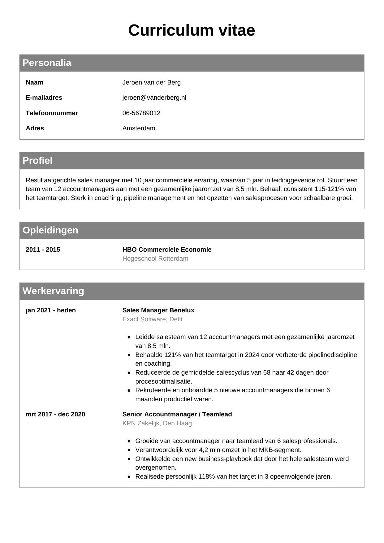 CV Klassiek voor sales manager