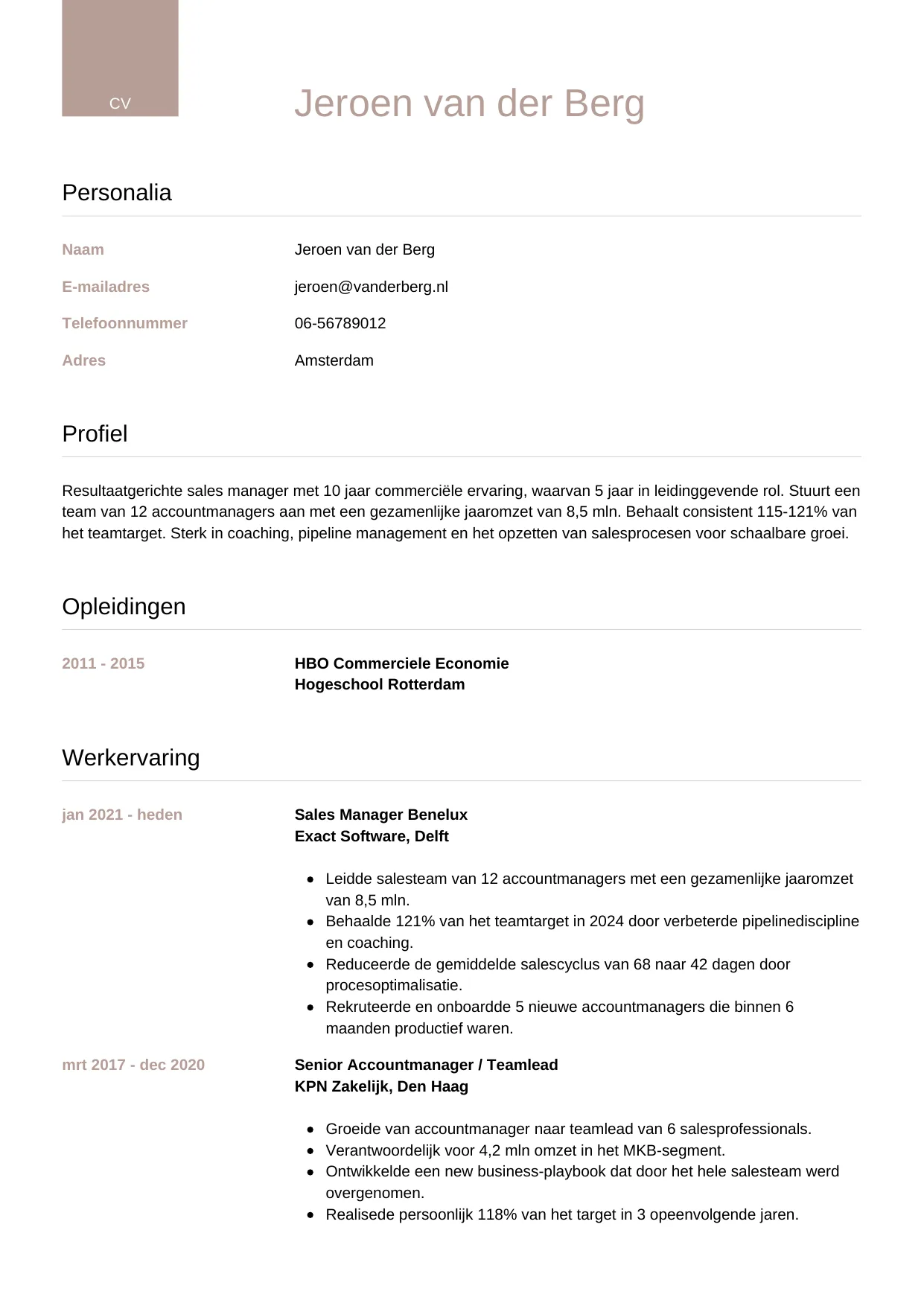 CV Luxe voor sales manager