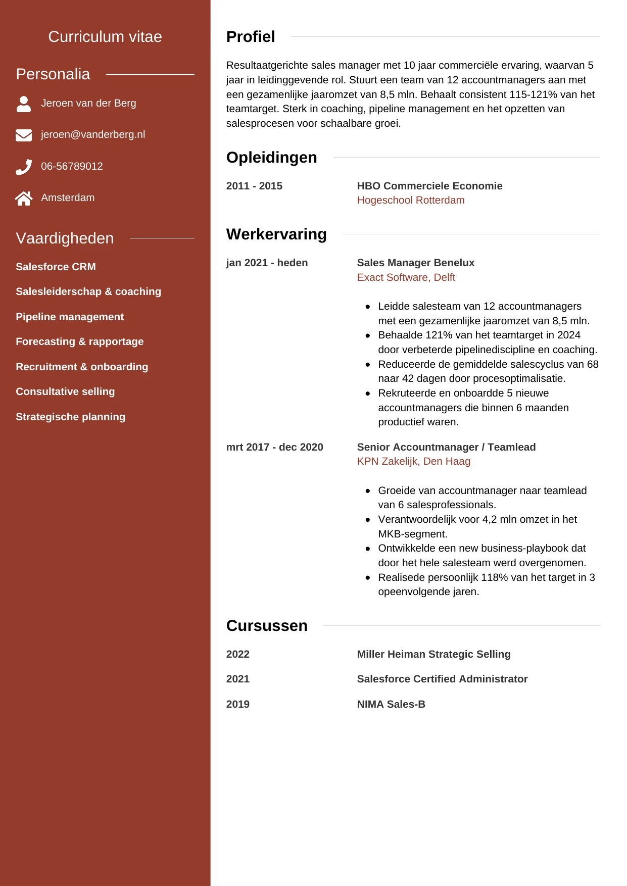 CV Modern voor sales manager