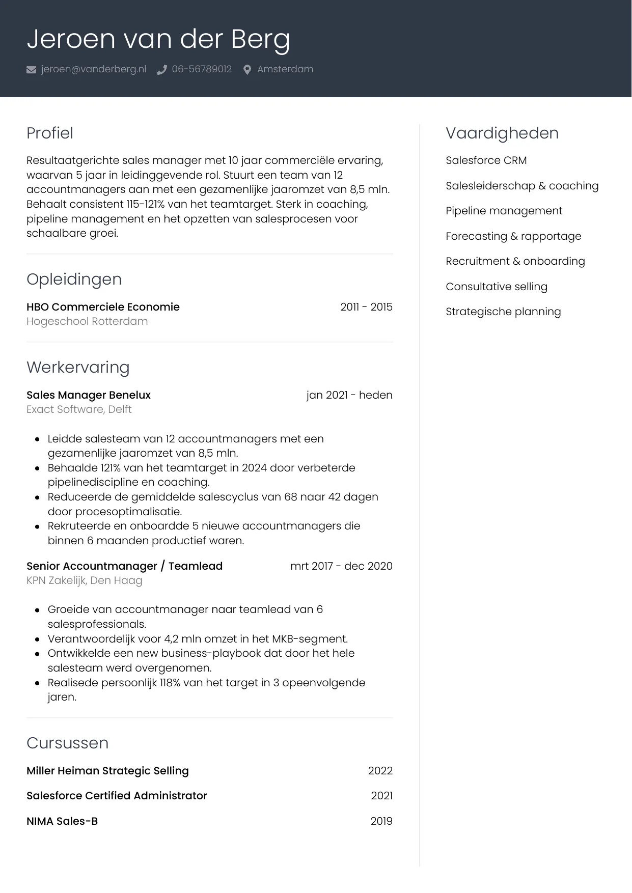 CV Professioneel voor sales manager