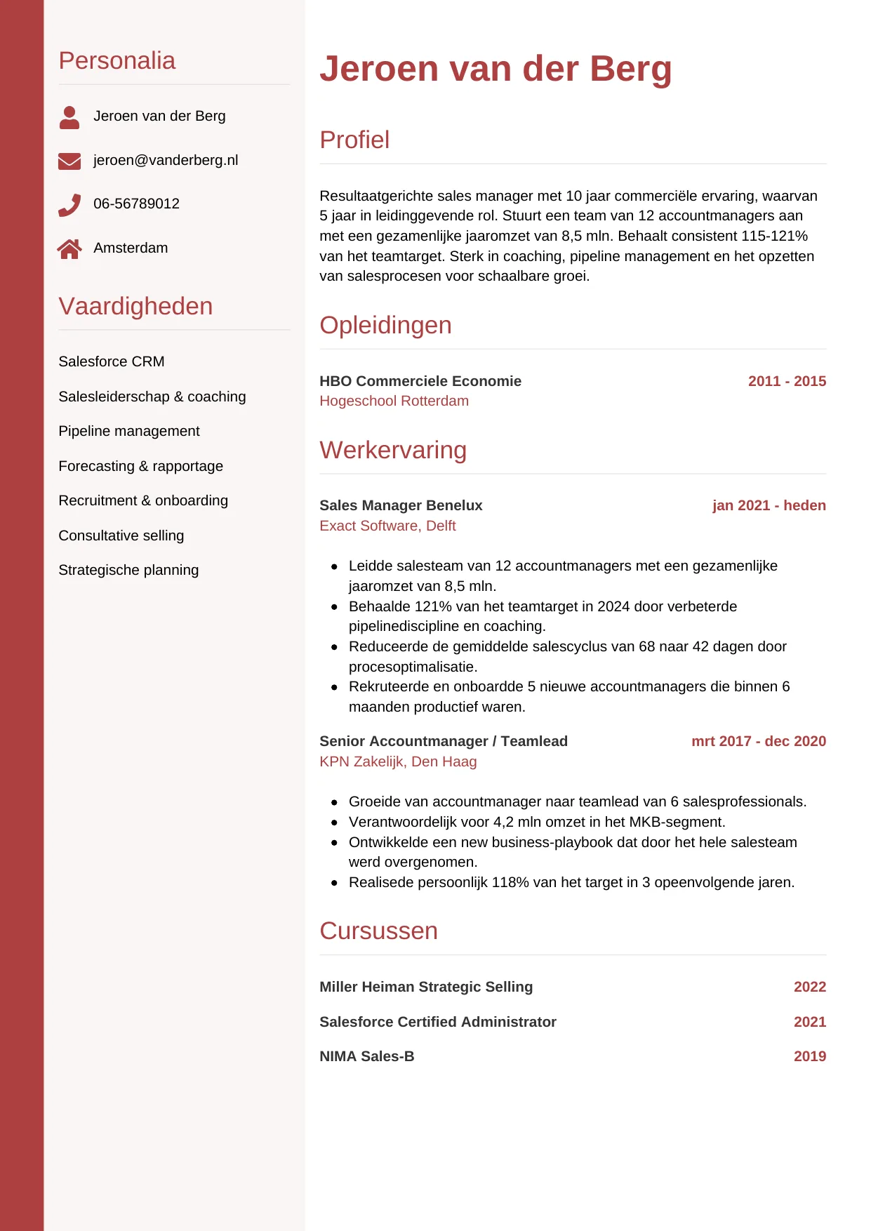 CV Verticaal voor sales manager