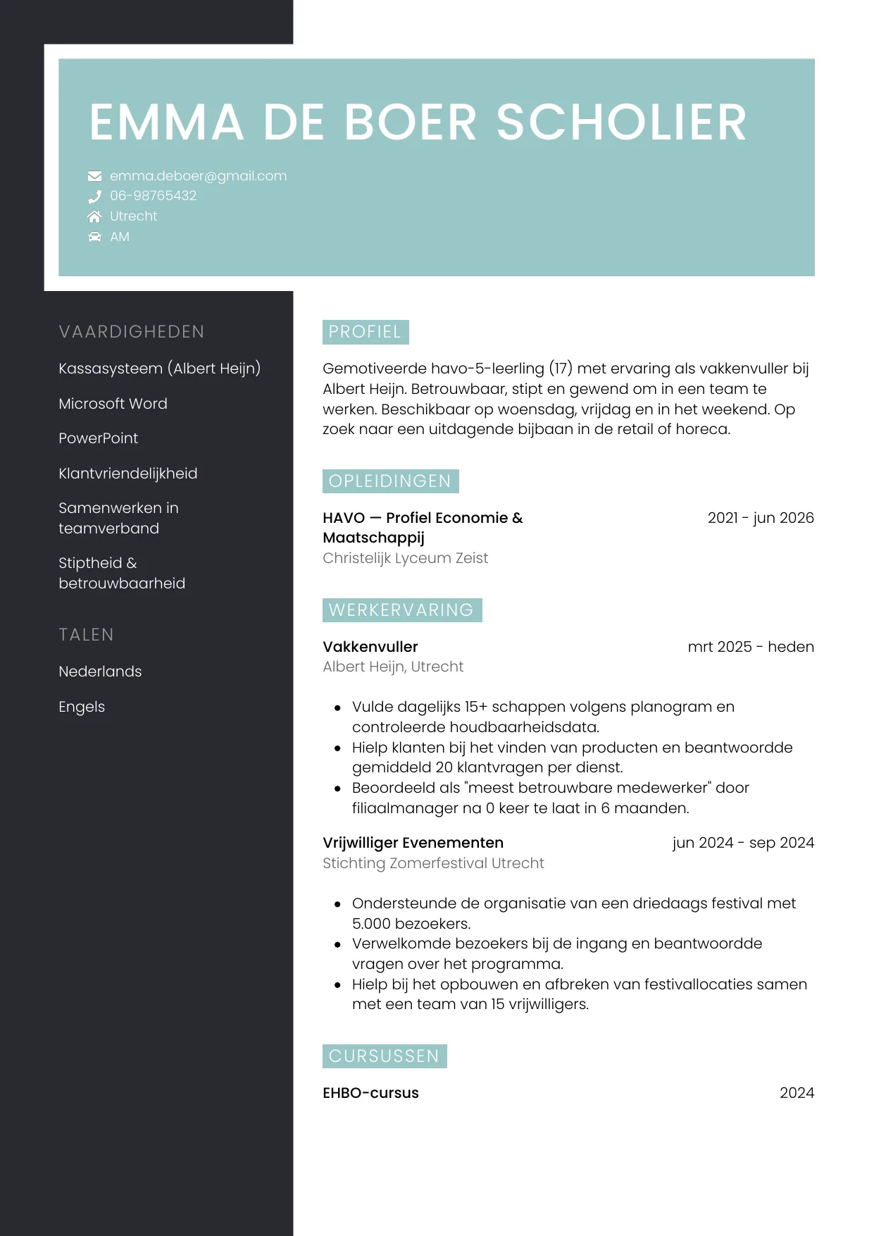 CV Elegant voor scholier
