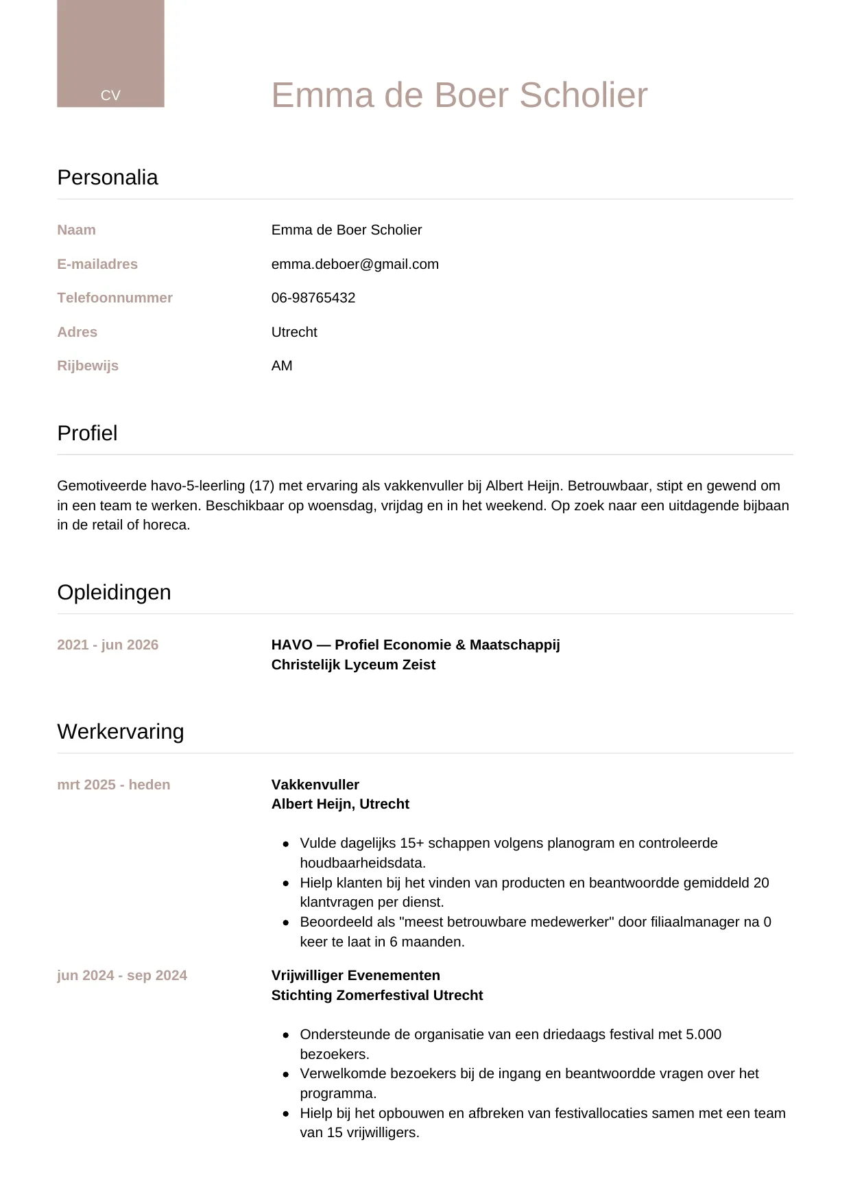 CV Luxe voor scholier