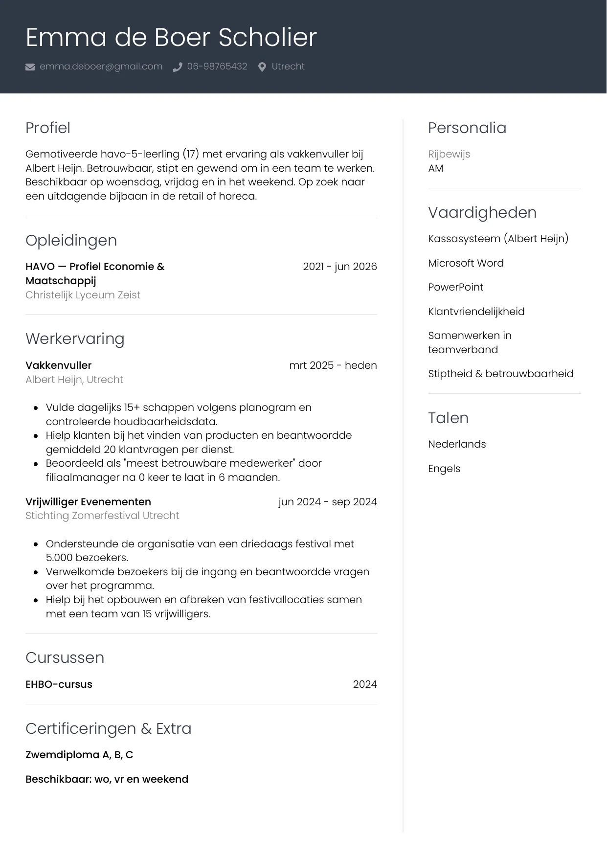 CV Professioneel voor scholier