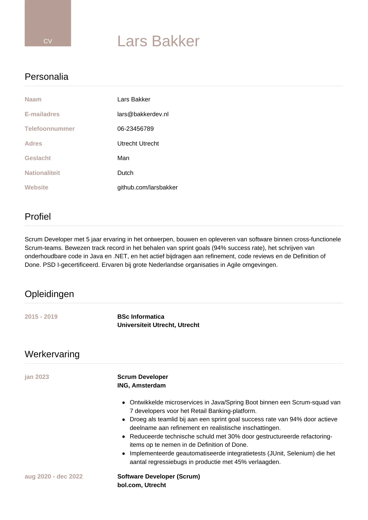 Voorbeeld CV voor scrum developer in template Luxe. CV Luxe voor scrum developer