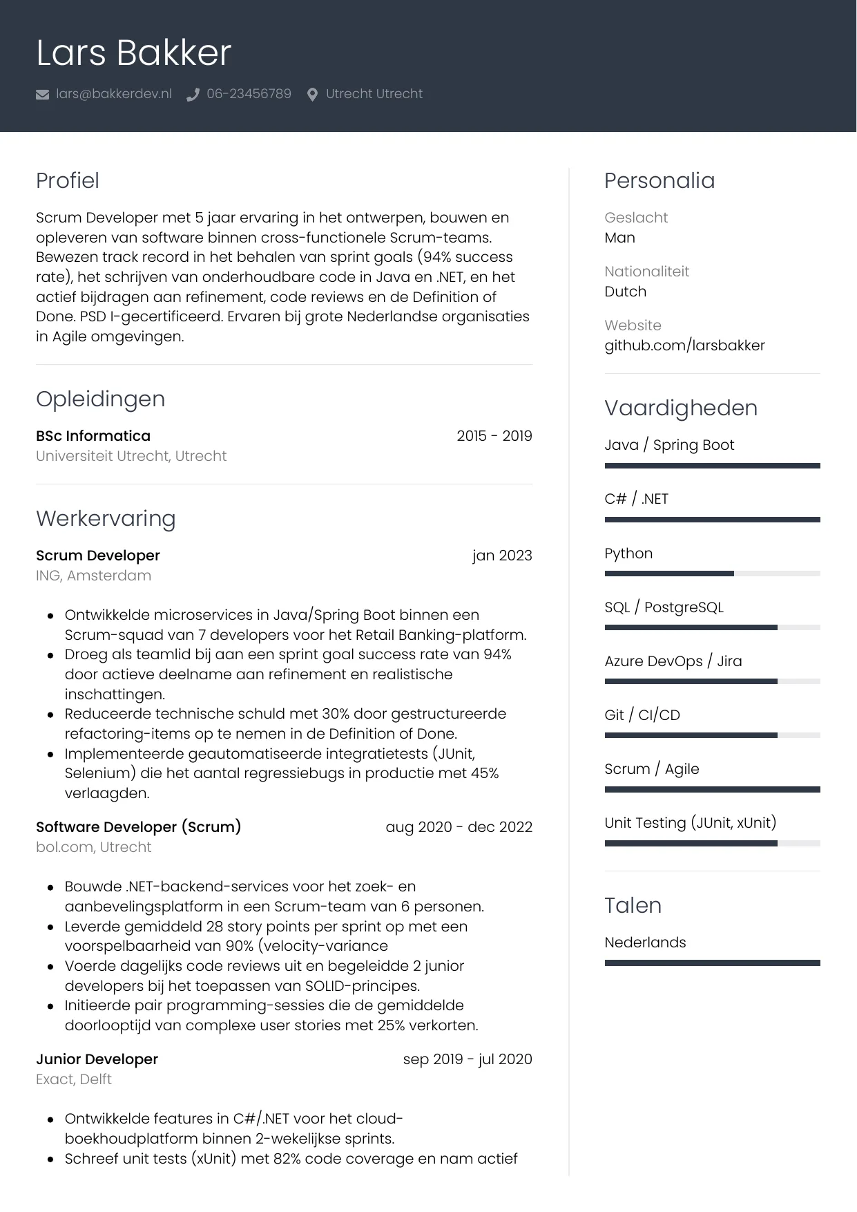 Voorbeeld CV voor scrum developer in template Professioneel. CV Professioneel voor scrum developer