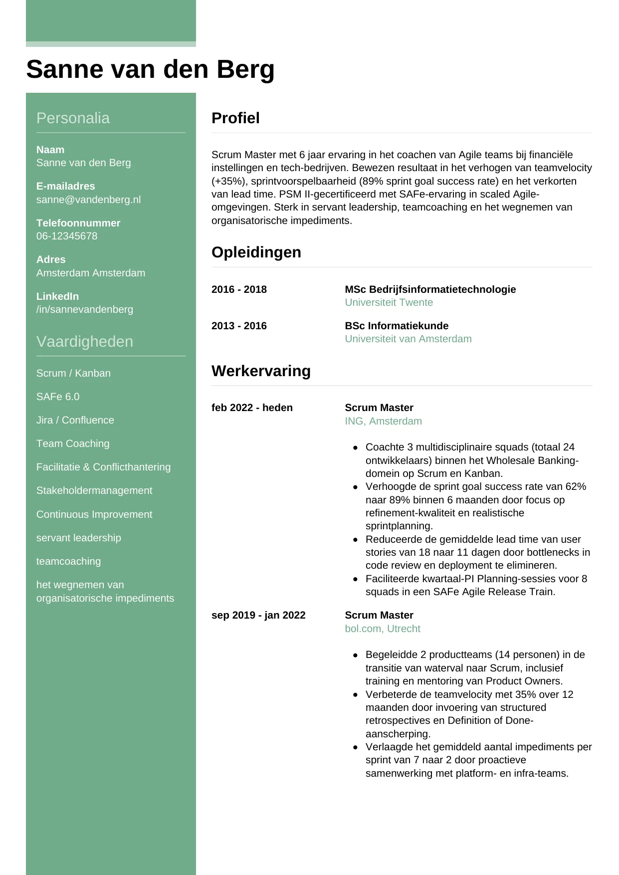 CV Casual voor scrum master