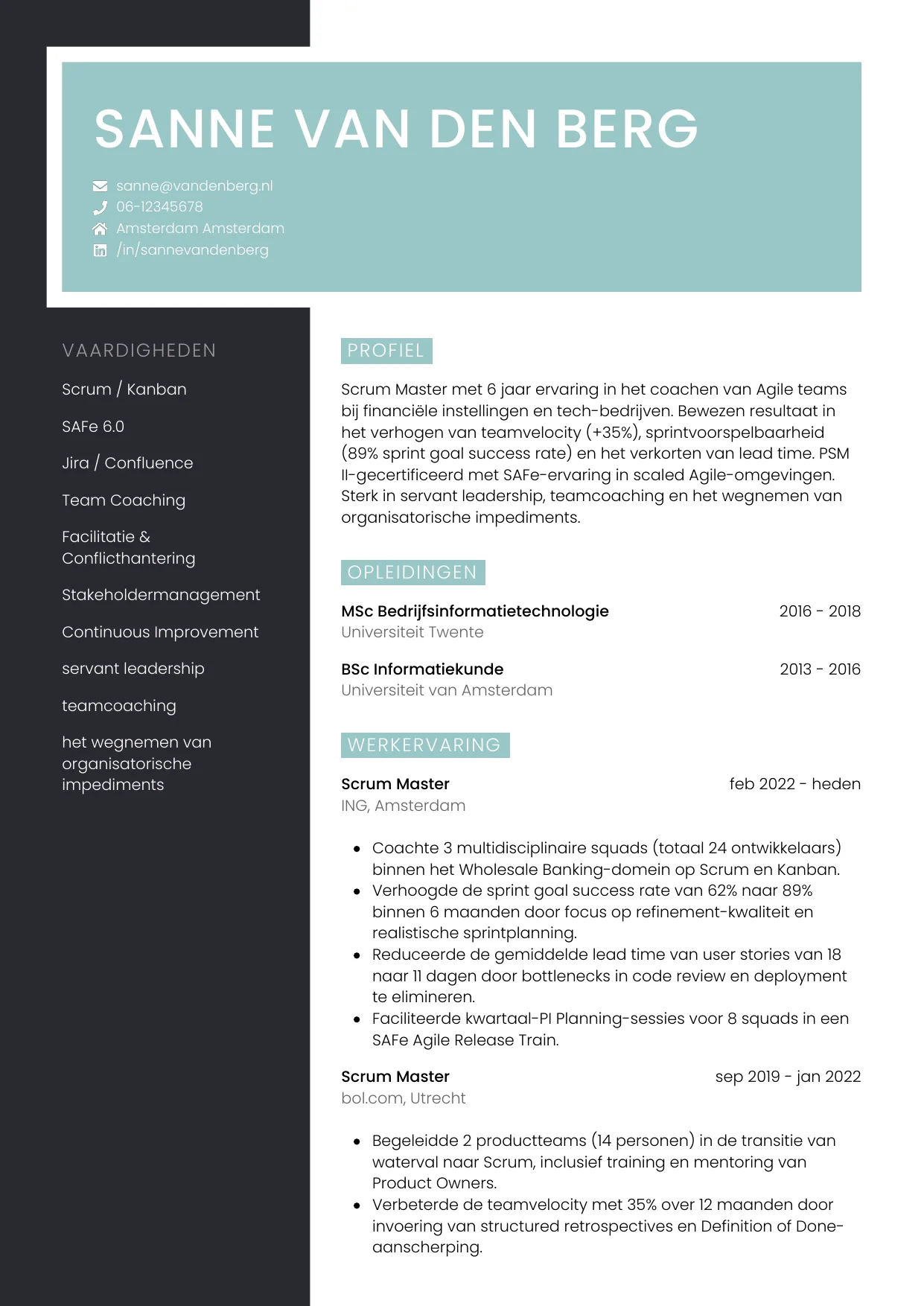CV Elegant voor scrum master