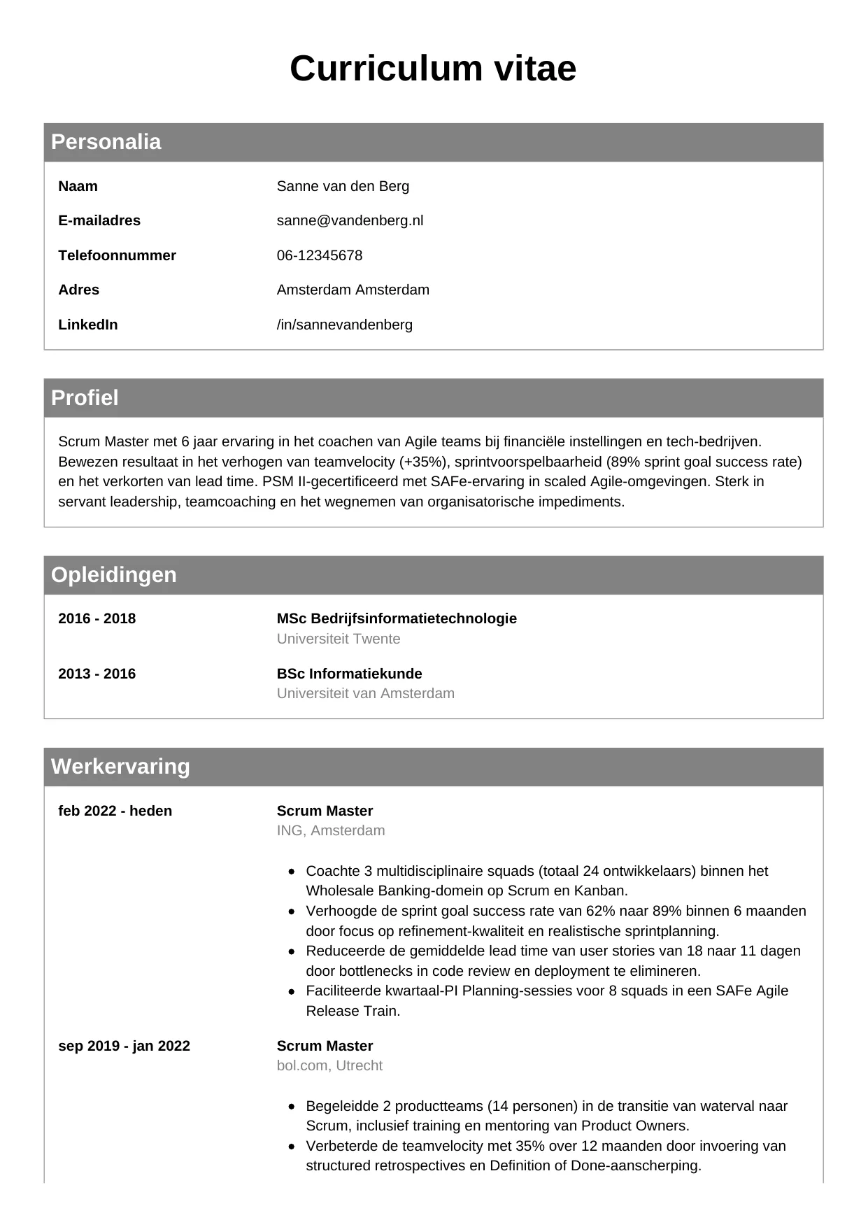 CV Klassiek voor scrum master