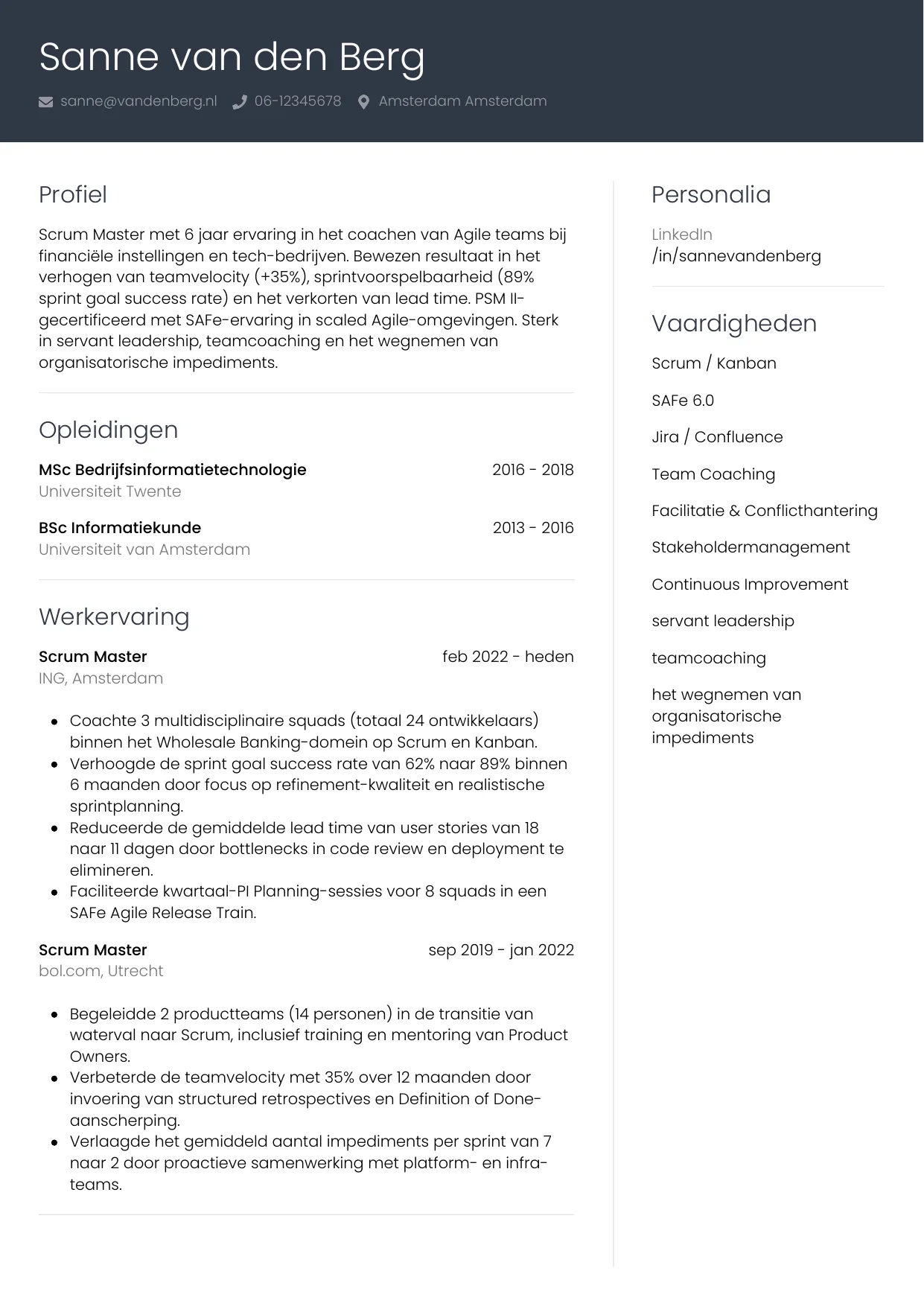 CV Professioneel voor scrum master