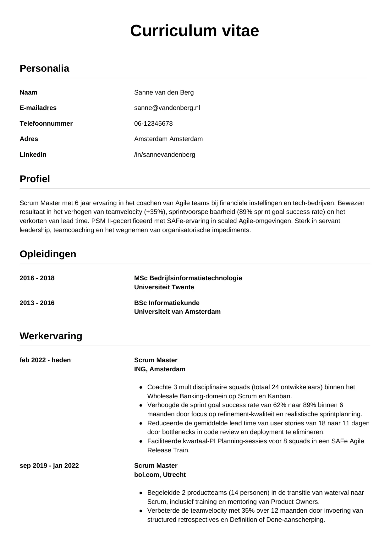 CV Simpel voor scrum master