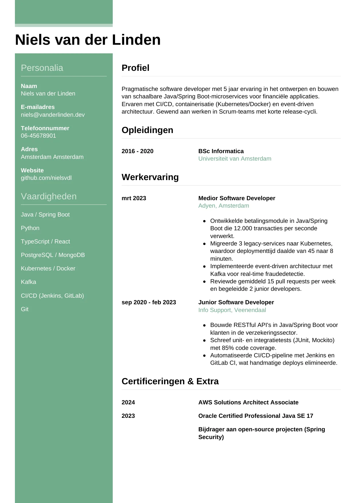 CV Casual voor software developer
