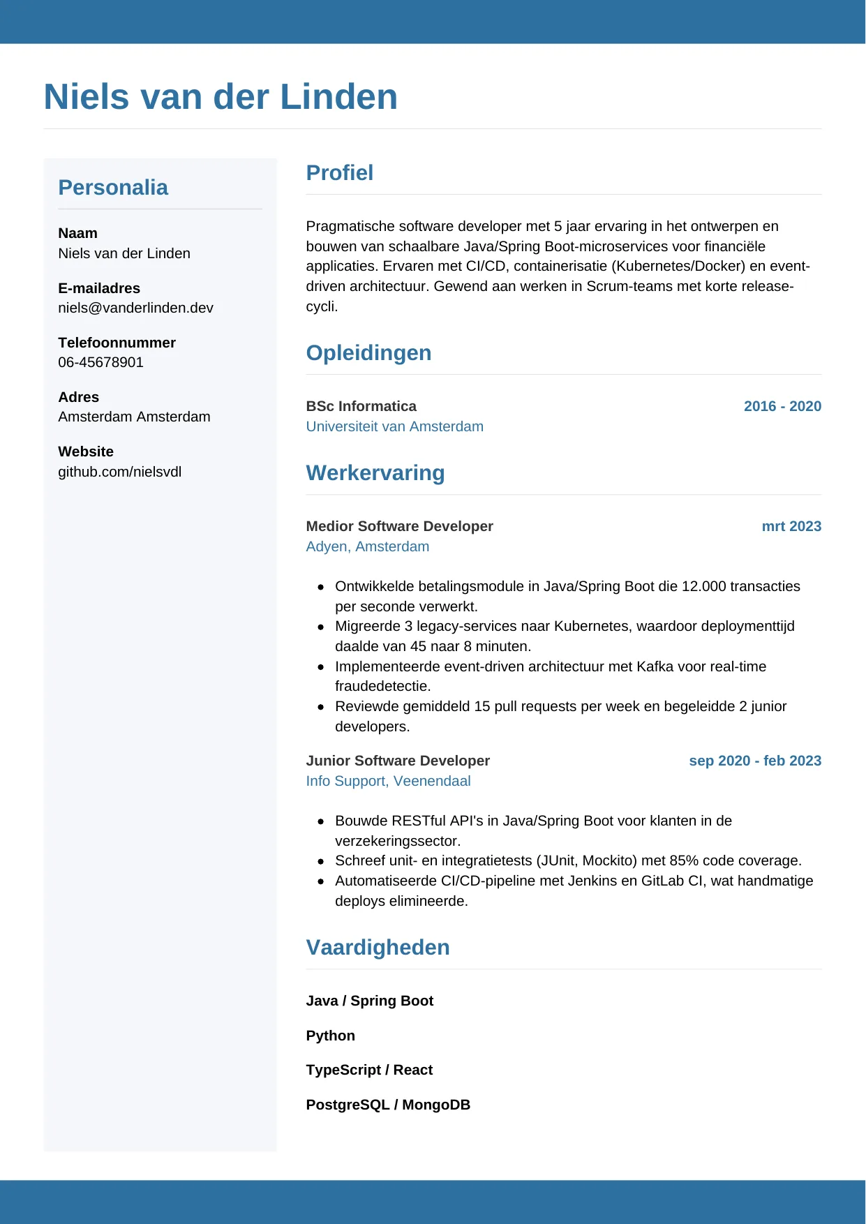 CV Horizontaal voor software developer