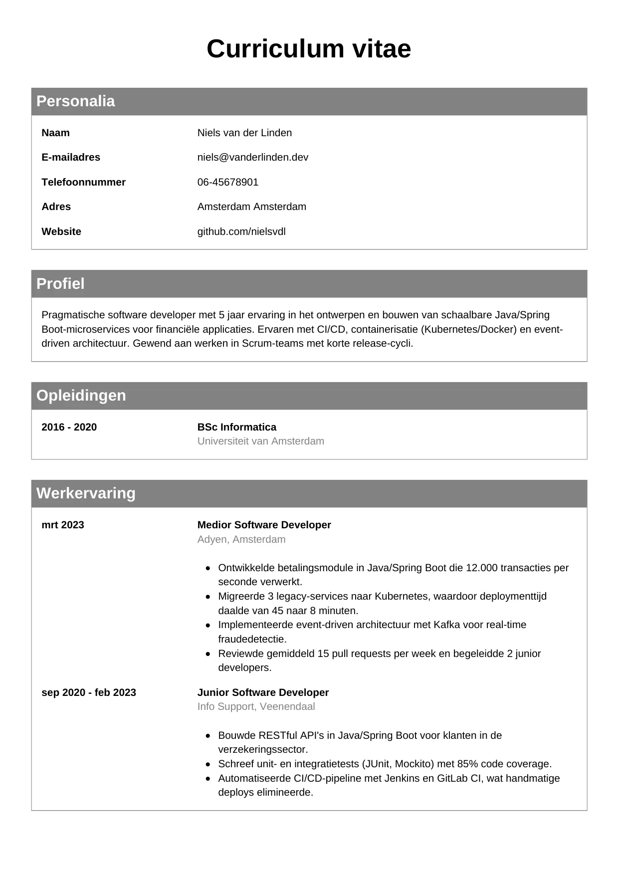 CV Klassiek voor software developer