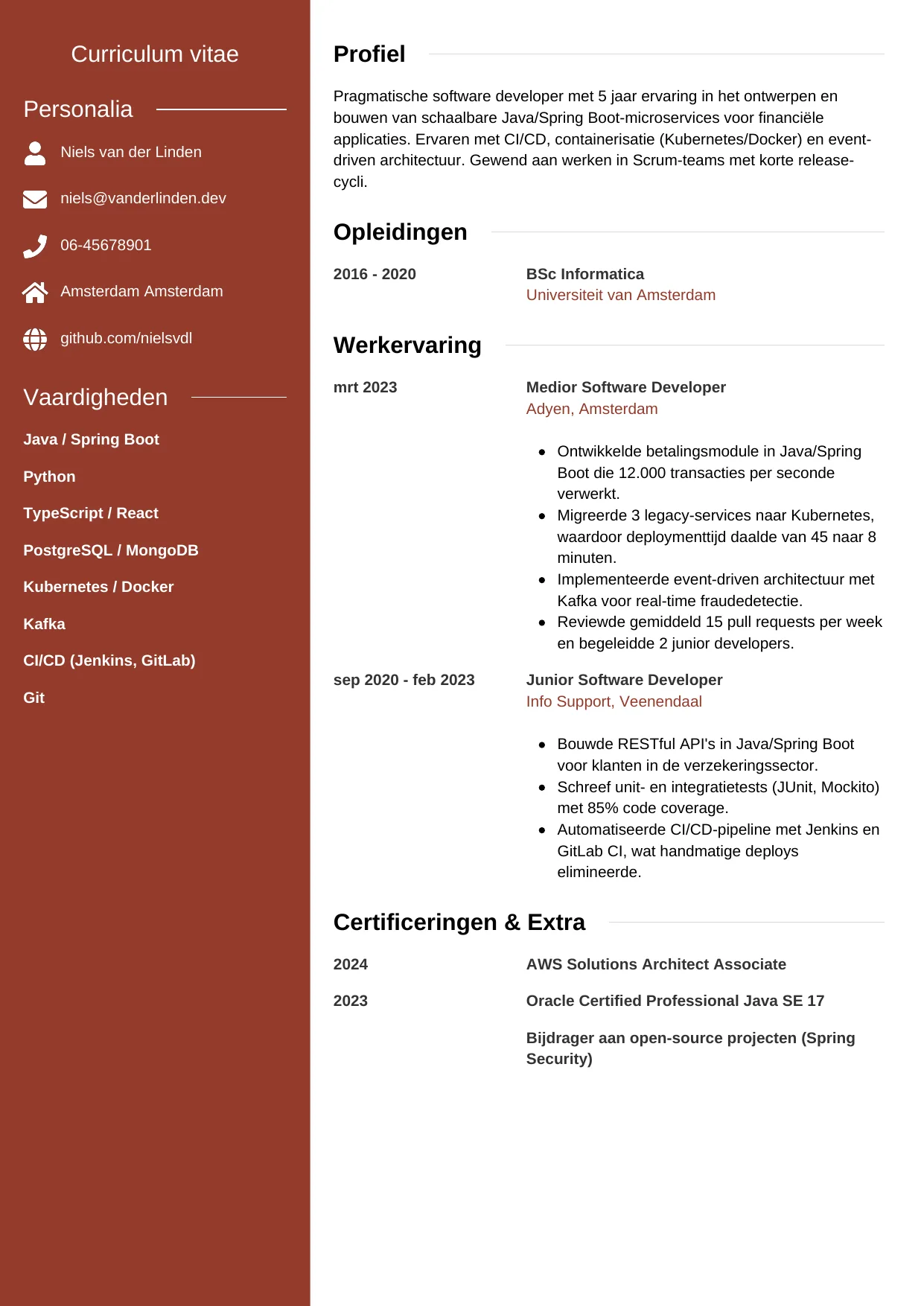 CV Modern voor software developer