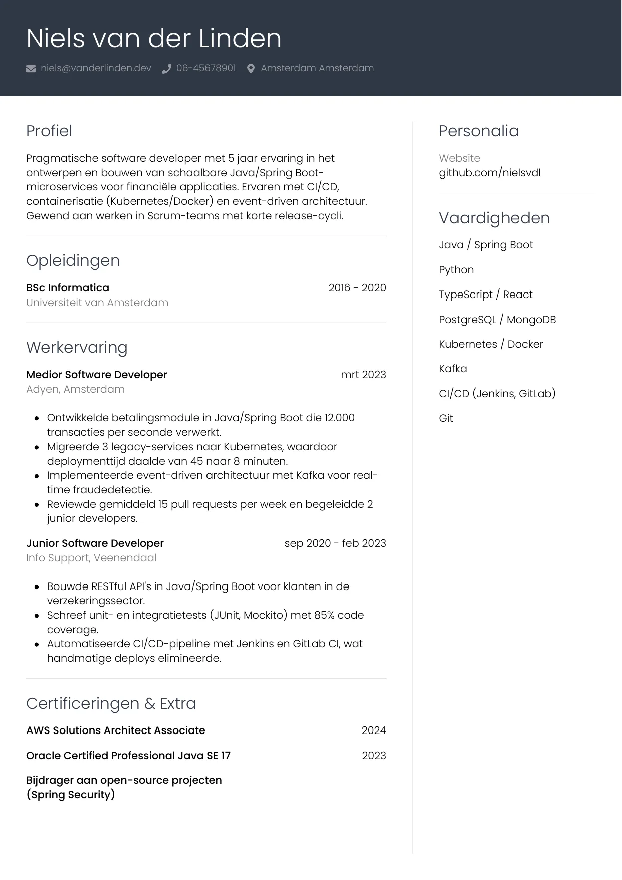 CV Professioneel voor software developer