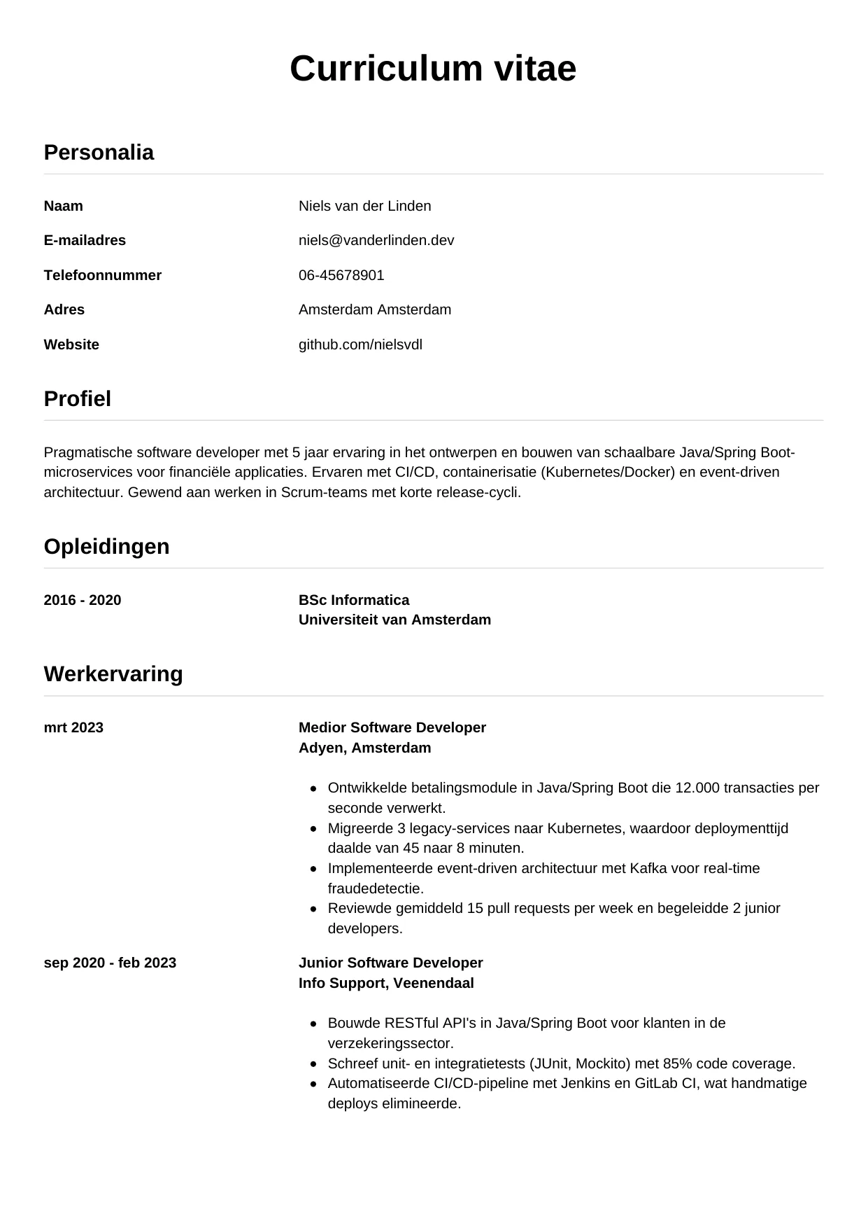 CV Simpel voor software developer