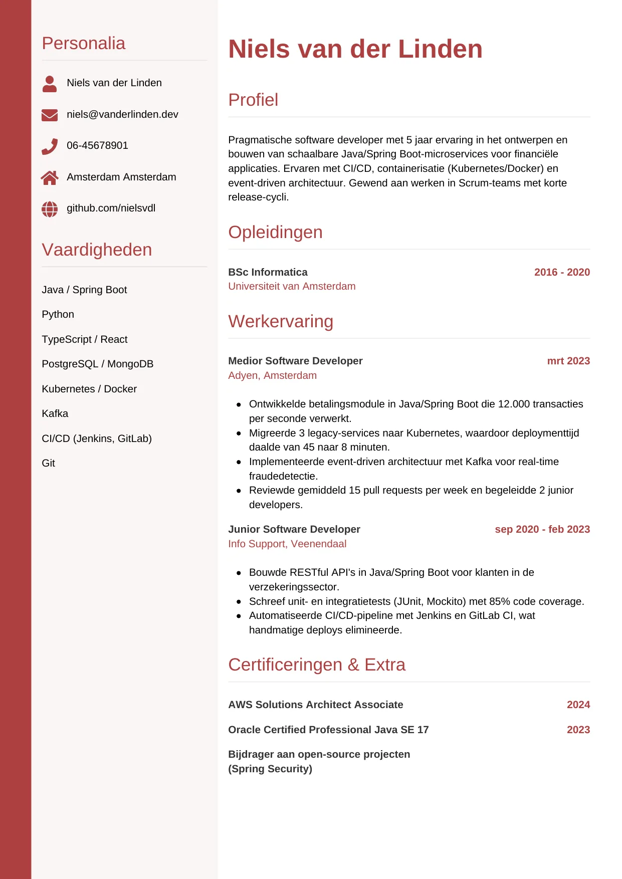 CV Verticaal voor software developer