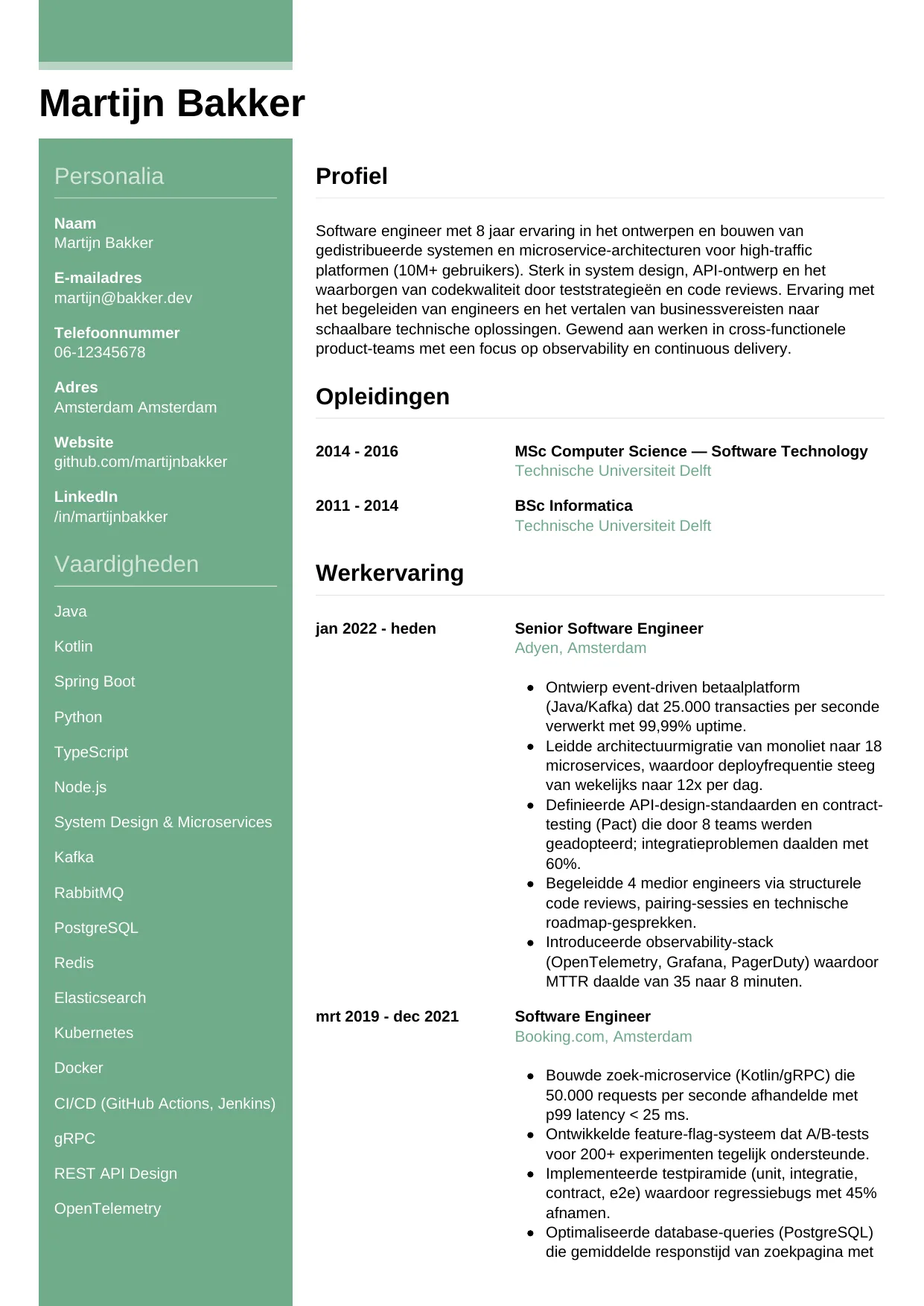 CV Casual voor software engineer