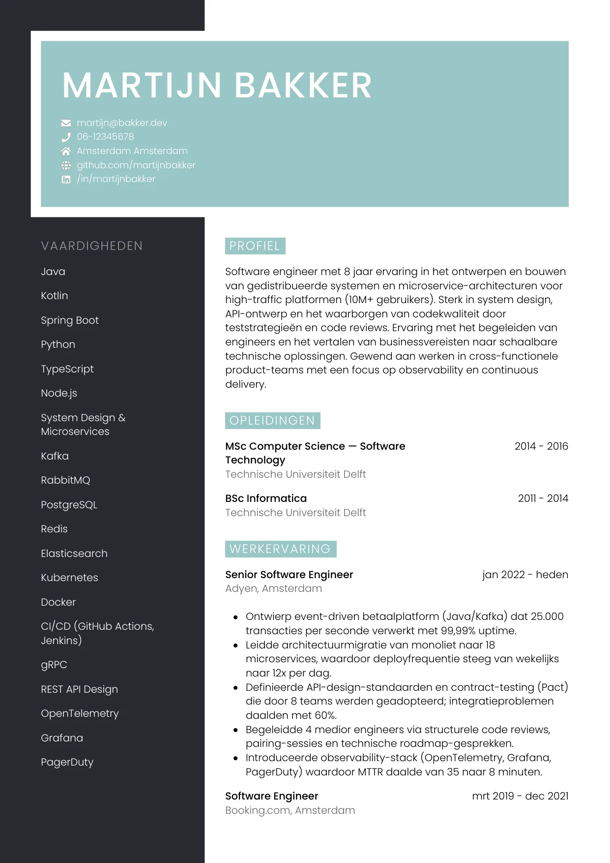 CV Elegant voor software engineer