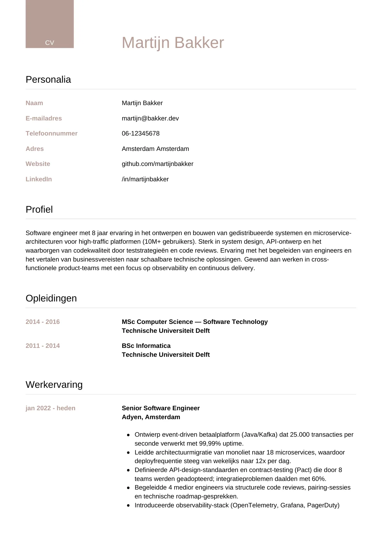 CV Luxe voor software engineer