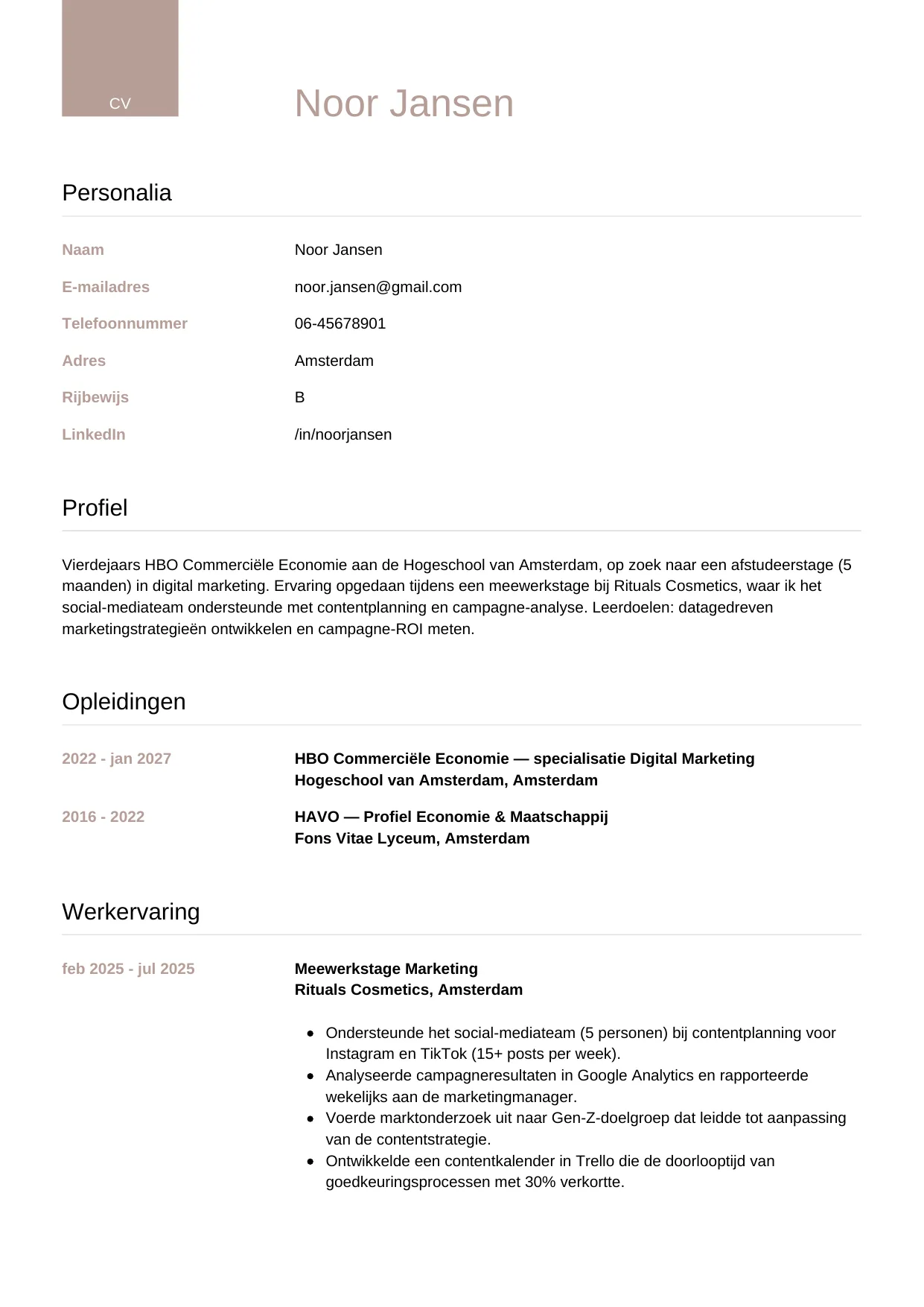 Voorbeeld CV voor stagiair in template Luxe. CV Luxe voor stagiair