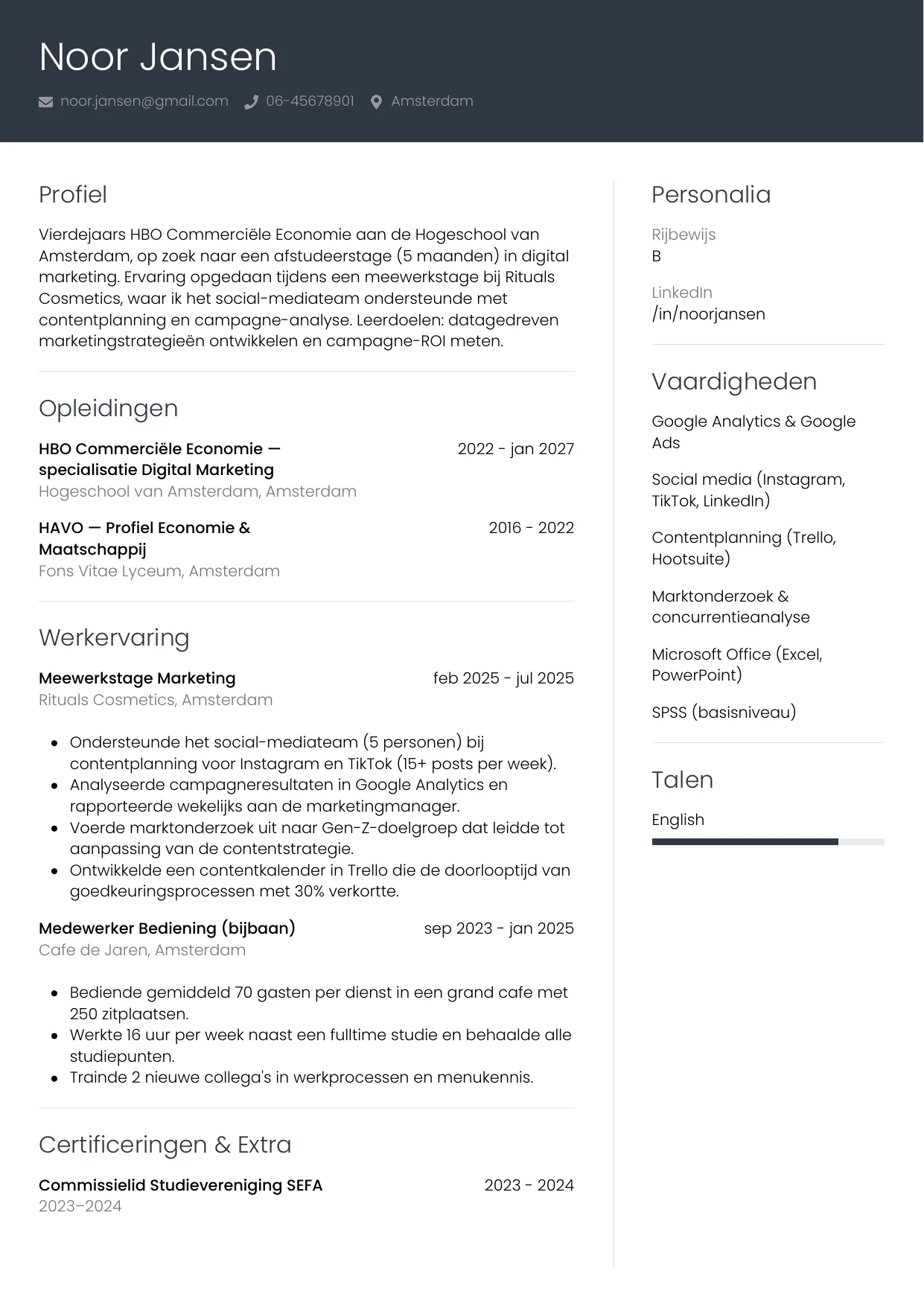 Voorbeeld CV voor stagiair in template Professioneel. CV Professioneel voor stagiair