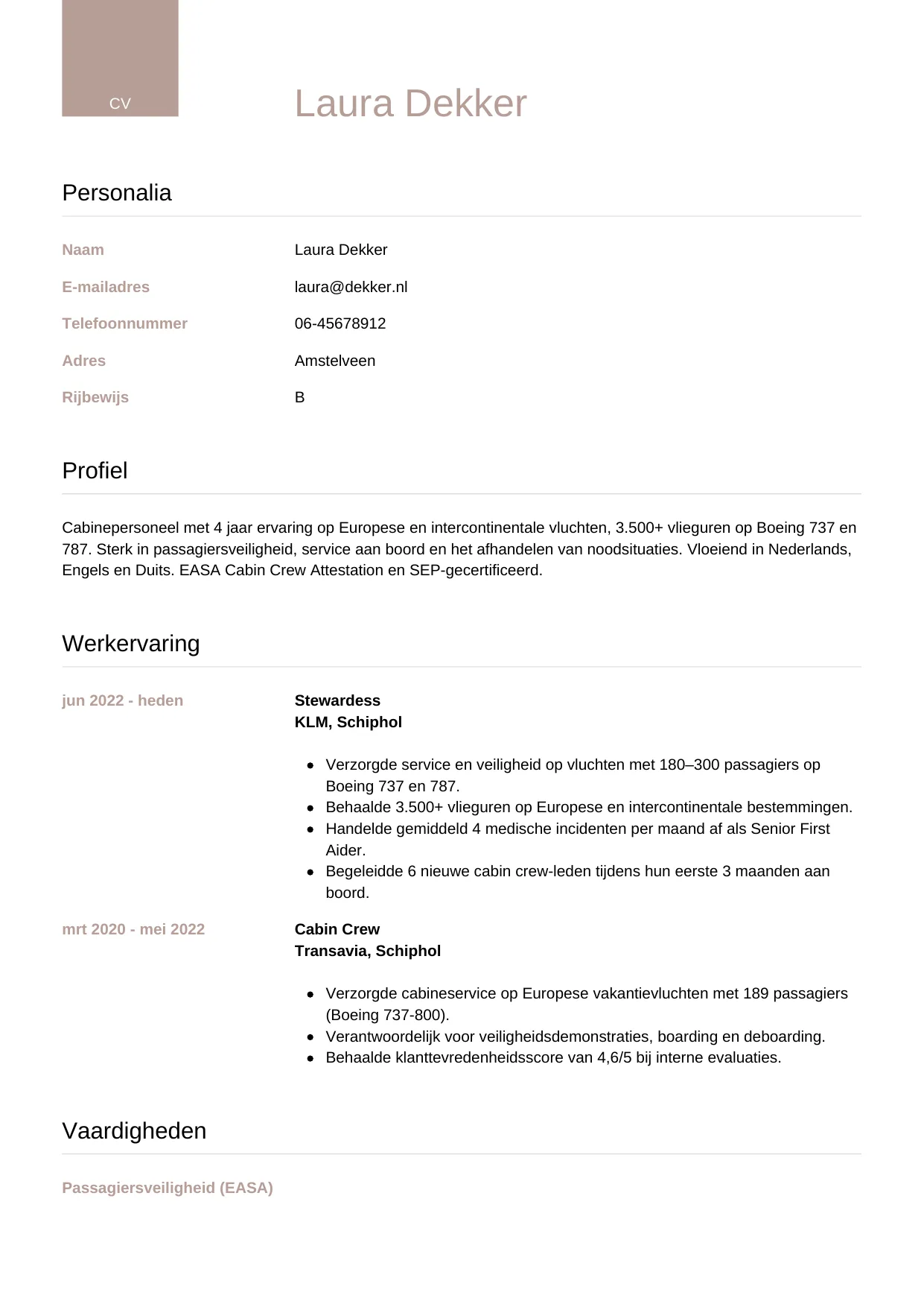 CV Luxe voor steward / stewardess