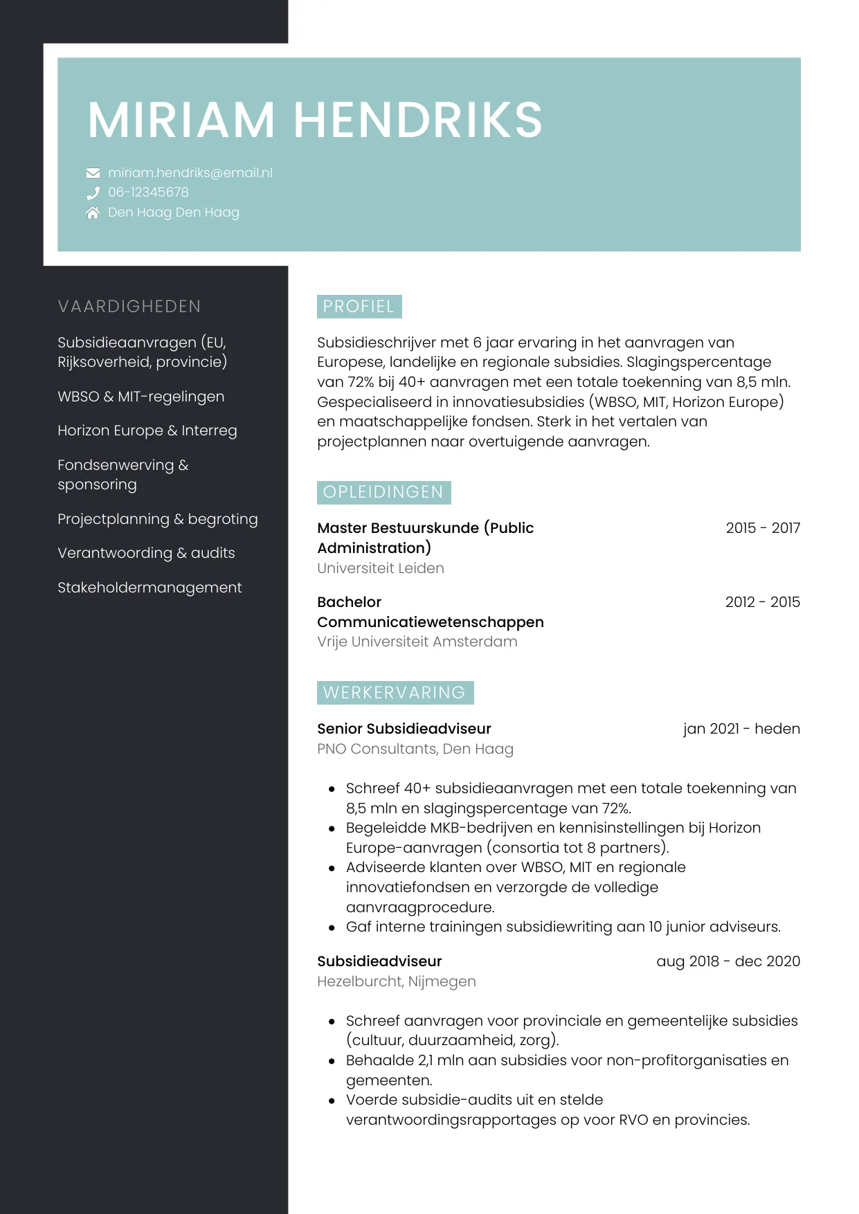 CV Elegant voor subsidieschrijver
