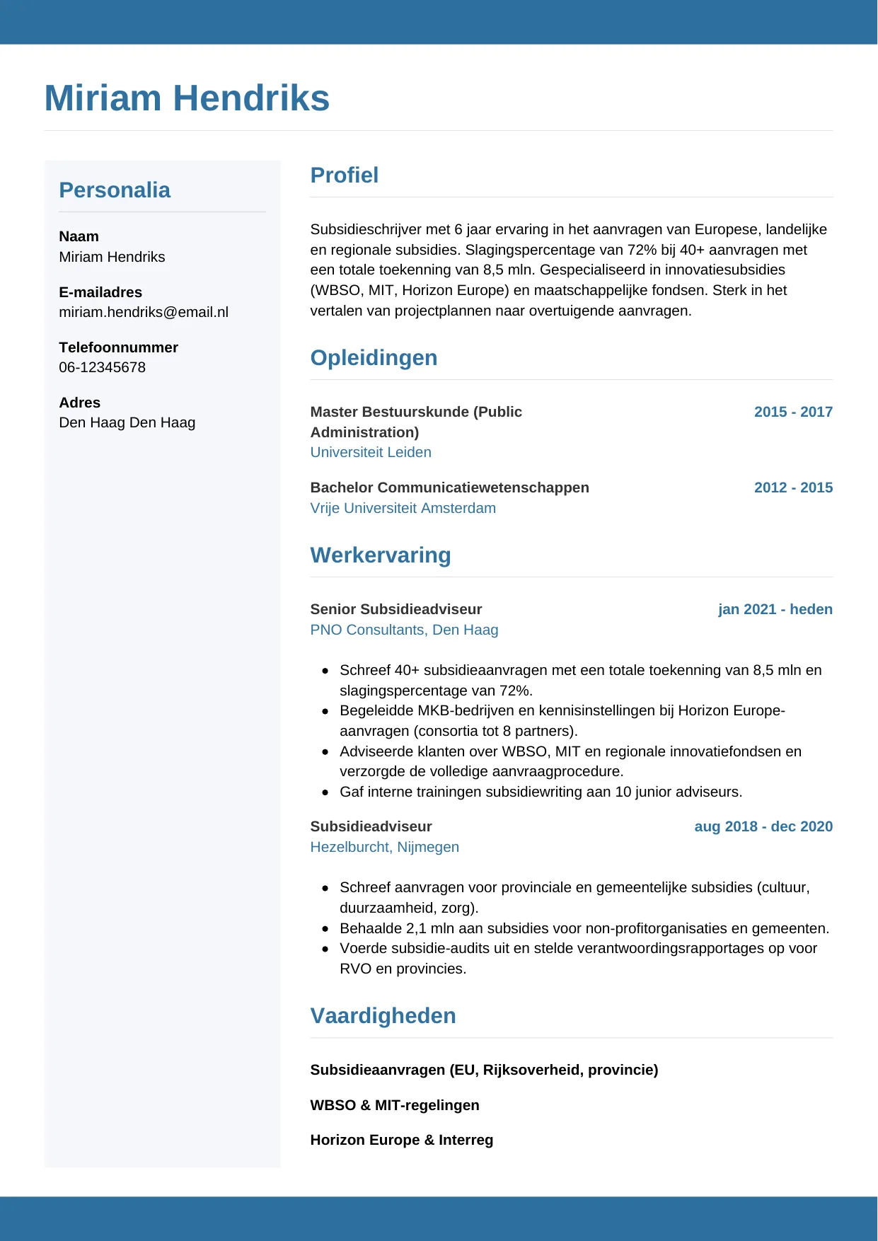 CV Horizontaal voor subsidieschrijver